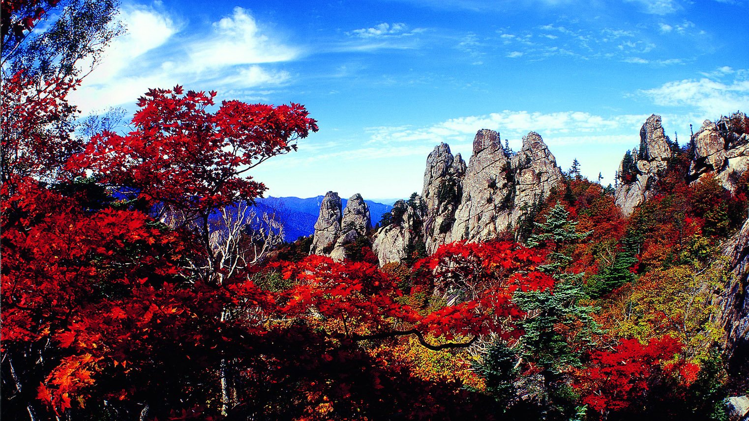 风景,自然风光,大自然