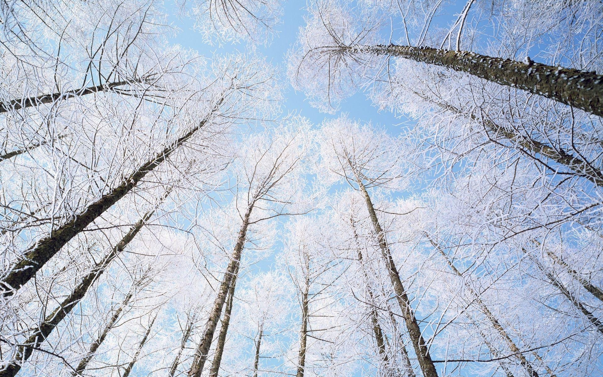 风景,自然风光,大自然,唯美,日本,北海道,日系,旅游胜地