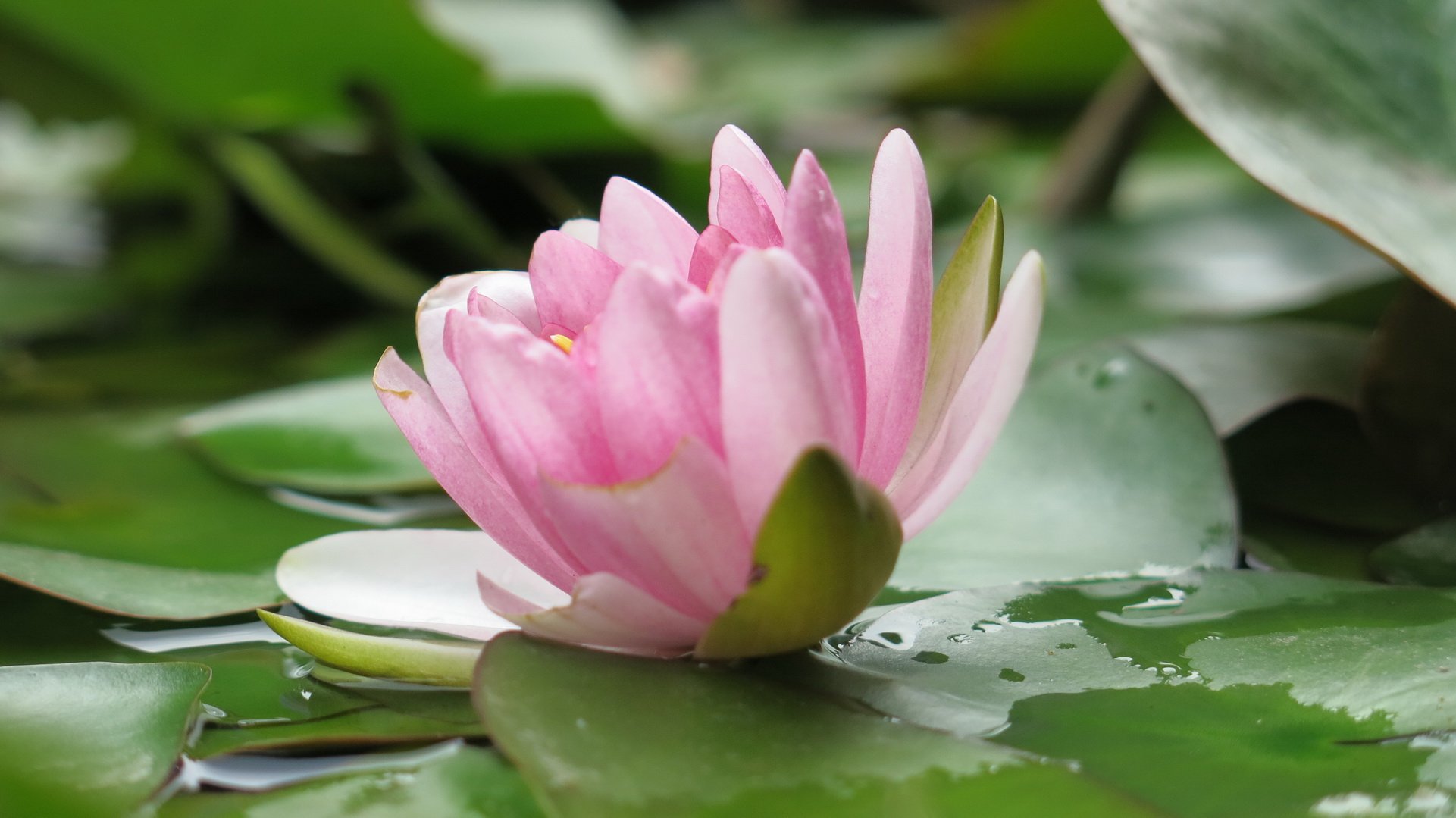 风景,自然风光,大自然