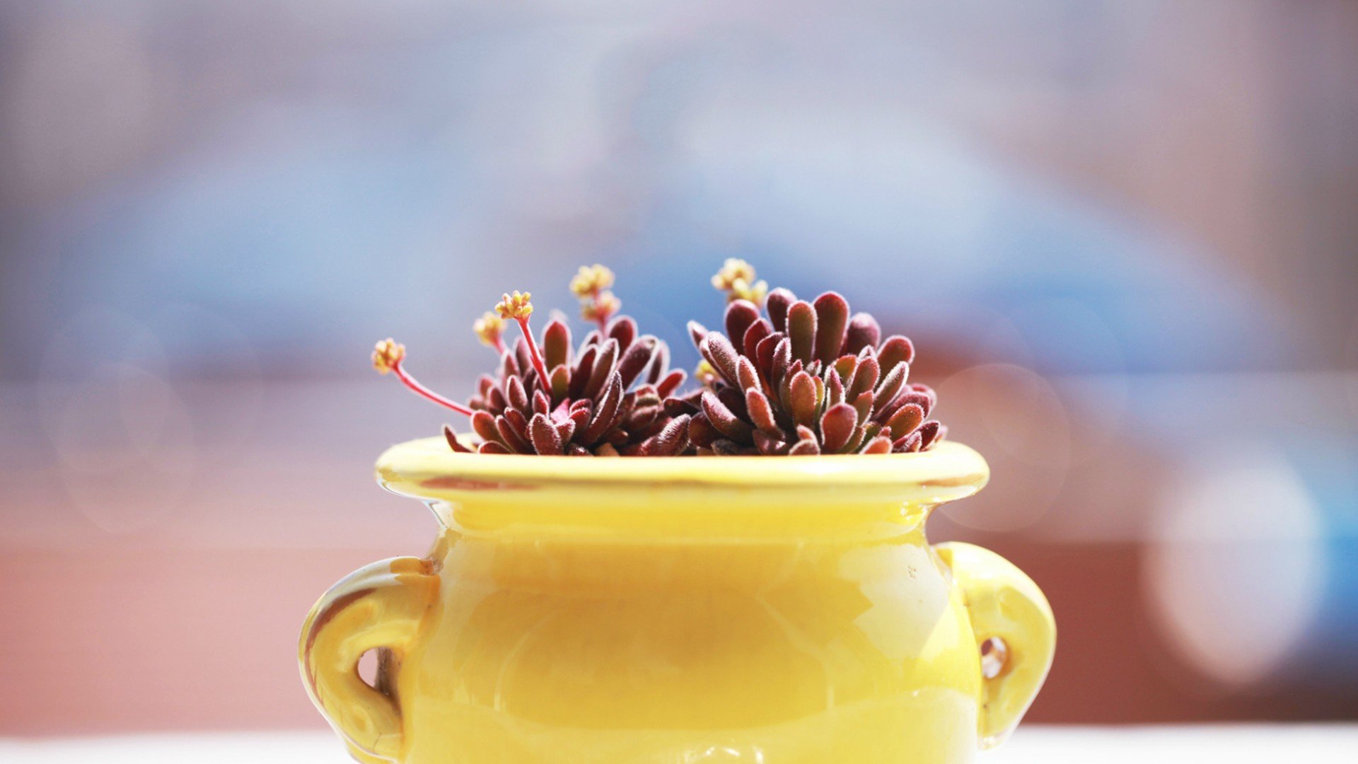 小清新,温暖,干净,安静,唯美,静物,物语,时光