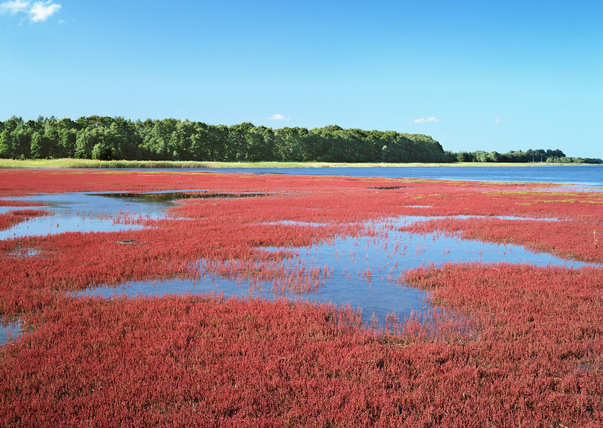 风景,自然风光,大自然,唯美,日本,北海道,日系,旅游胜地
