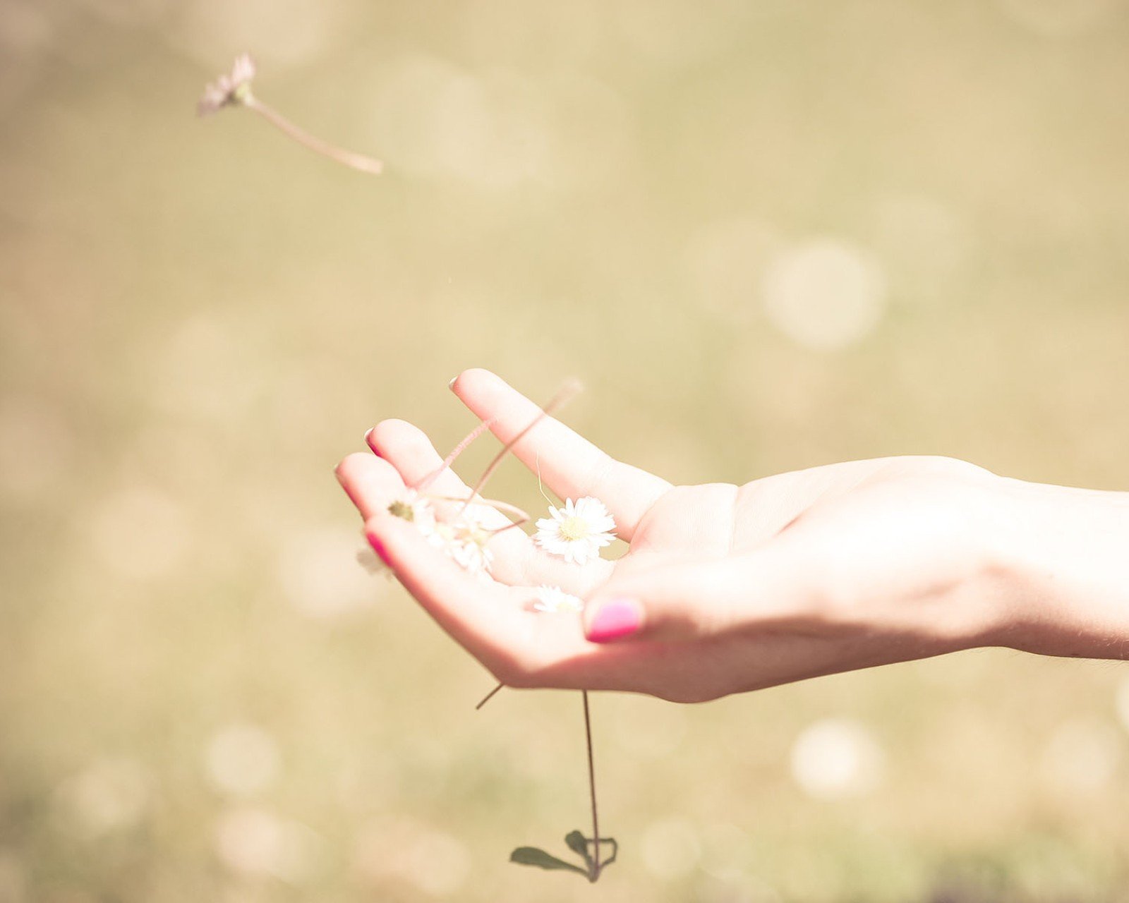 小清新,温暖,干净,安静,唯美,静物,物语,时光