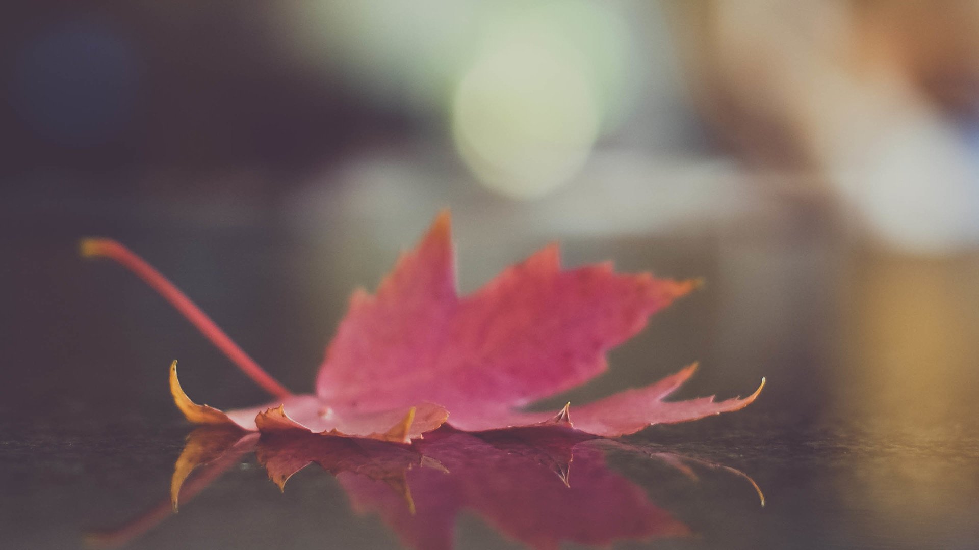 小清新,温暖,干净,安静,唯美,静物,物语,时光,清新淡雅,宁静安详