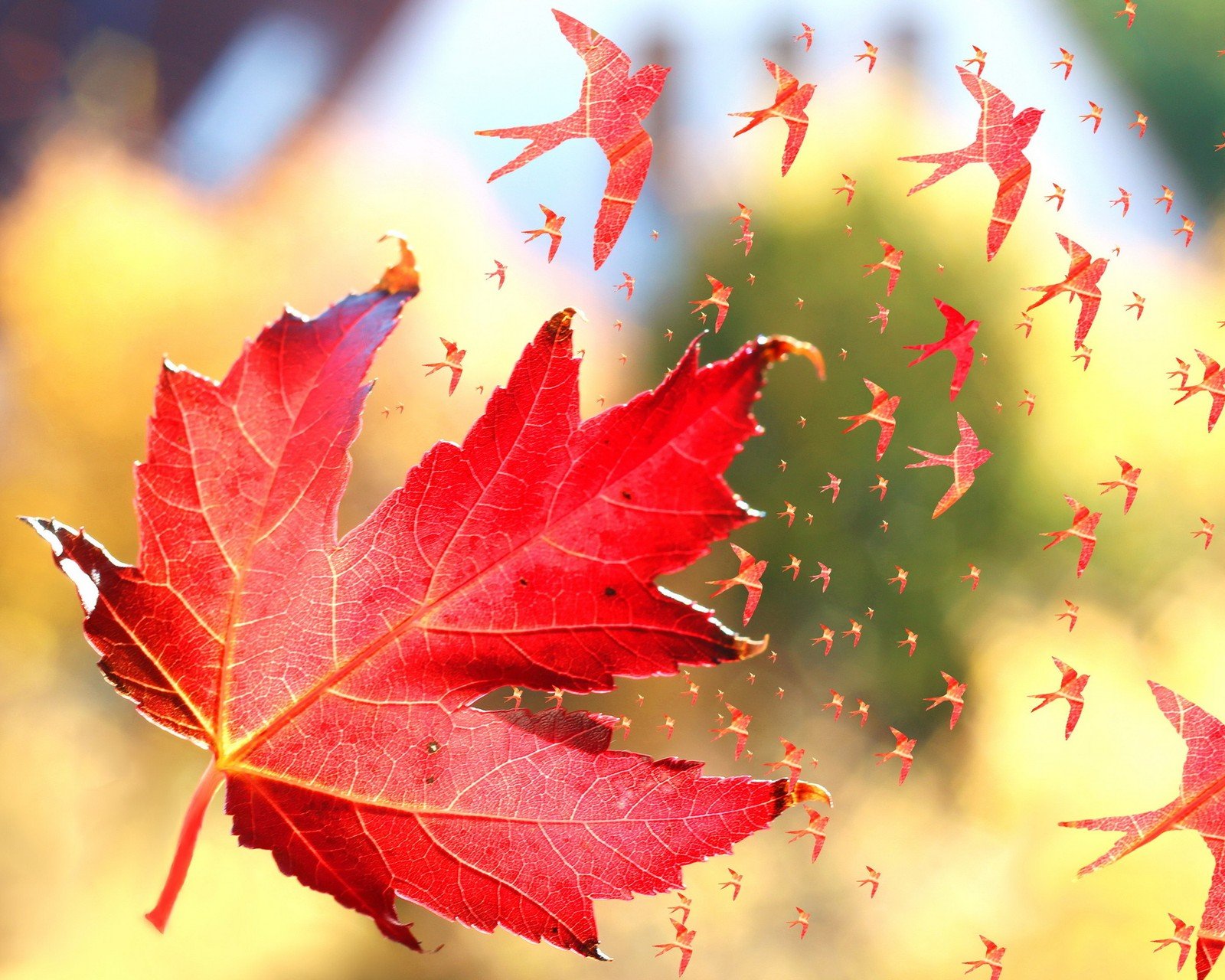 小清新,温暖,干净,安静,唯美,静物,物语,时光,清新淡雅,宁静安详