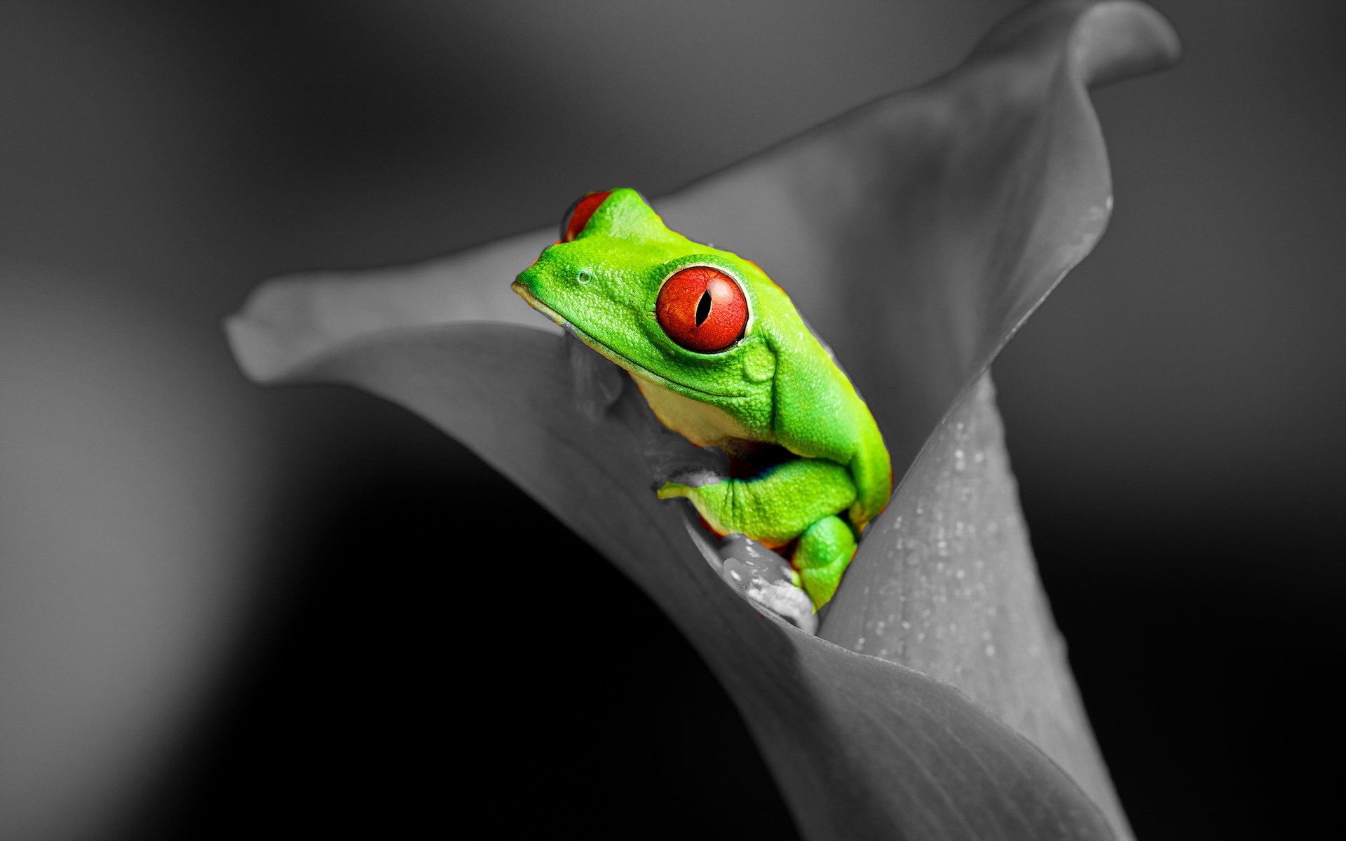 小清新,温暖,干净,安静,唯美,静物,物语,时光,清新淡雅,宁静安详