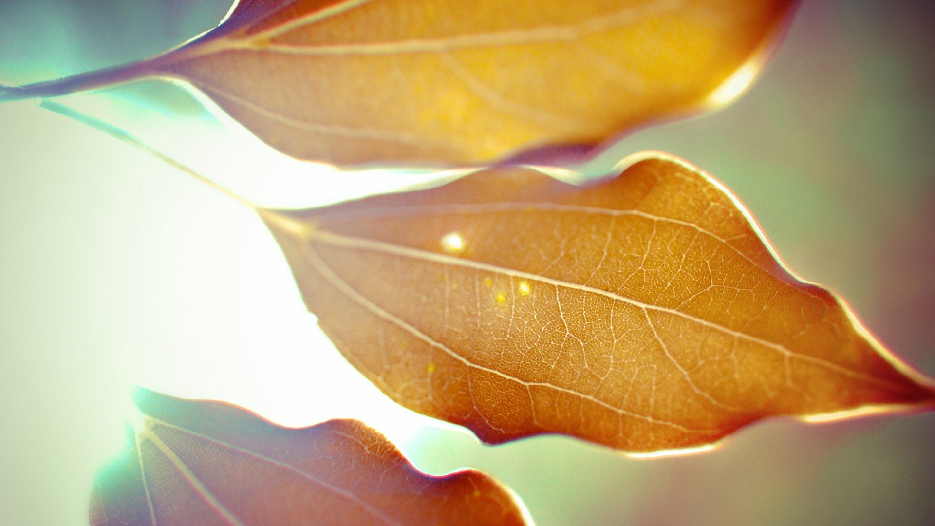 小清新,温暖,干净,安静,唯美,静物,物语,时光,清新淡雅,宁静安详