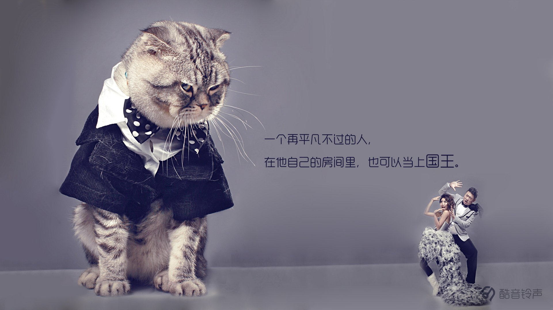 喵星人,萌宠,宠物,猫