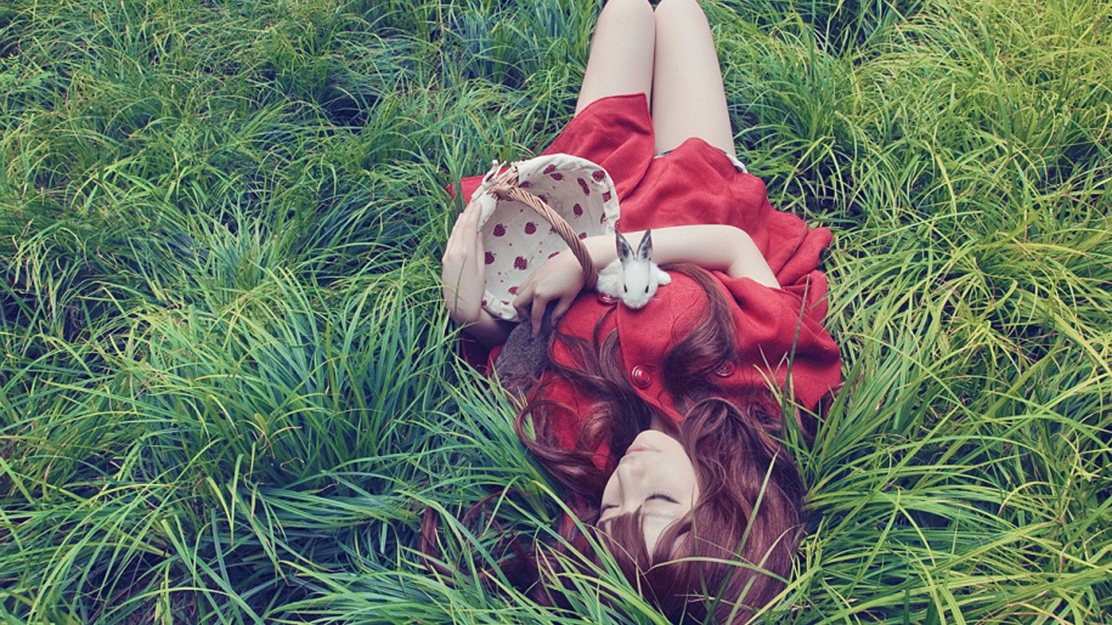 美女,清新,唯美,兔子,草坪