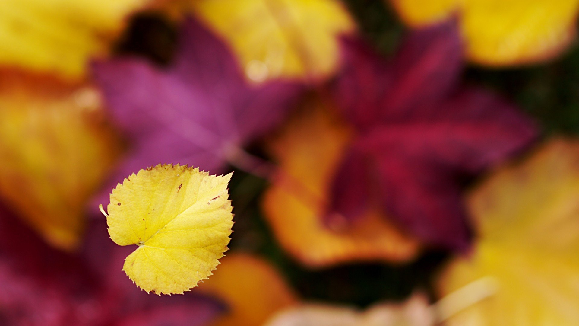 小清新,温暖,干净,安静,唯美,静物,物语,时光,清新淡雅,宁静安详