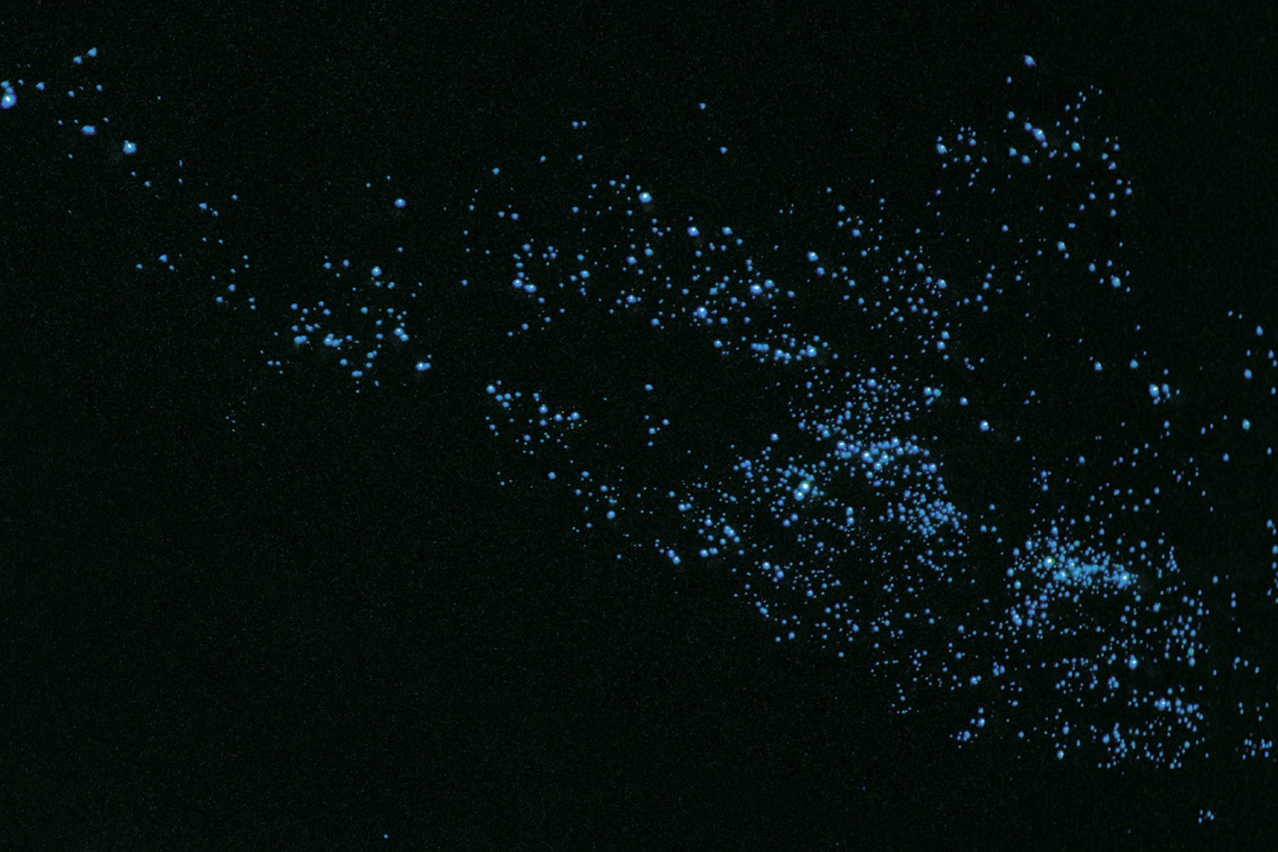 风景,自然风光,大自然