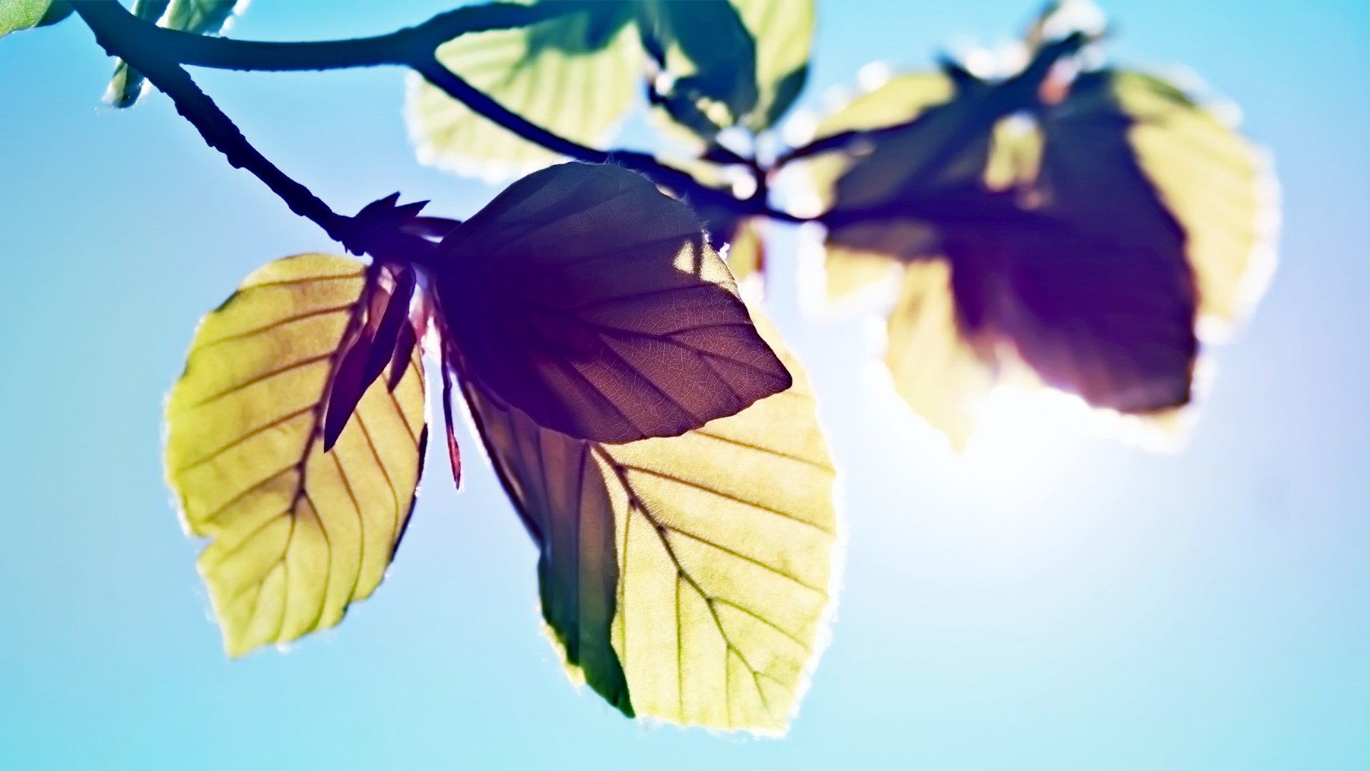 小清新,温暖,干净,安静,唯美,静物,物语,时光