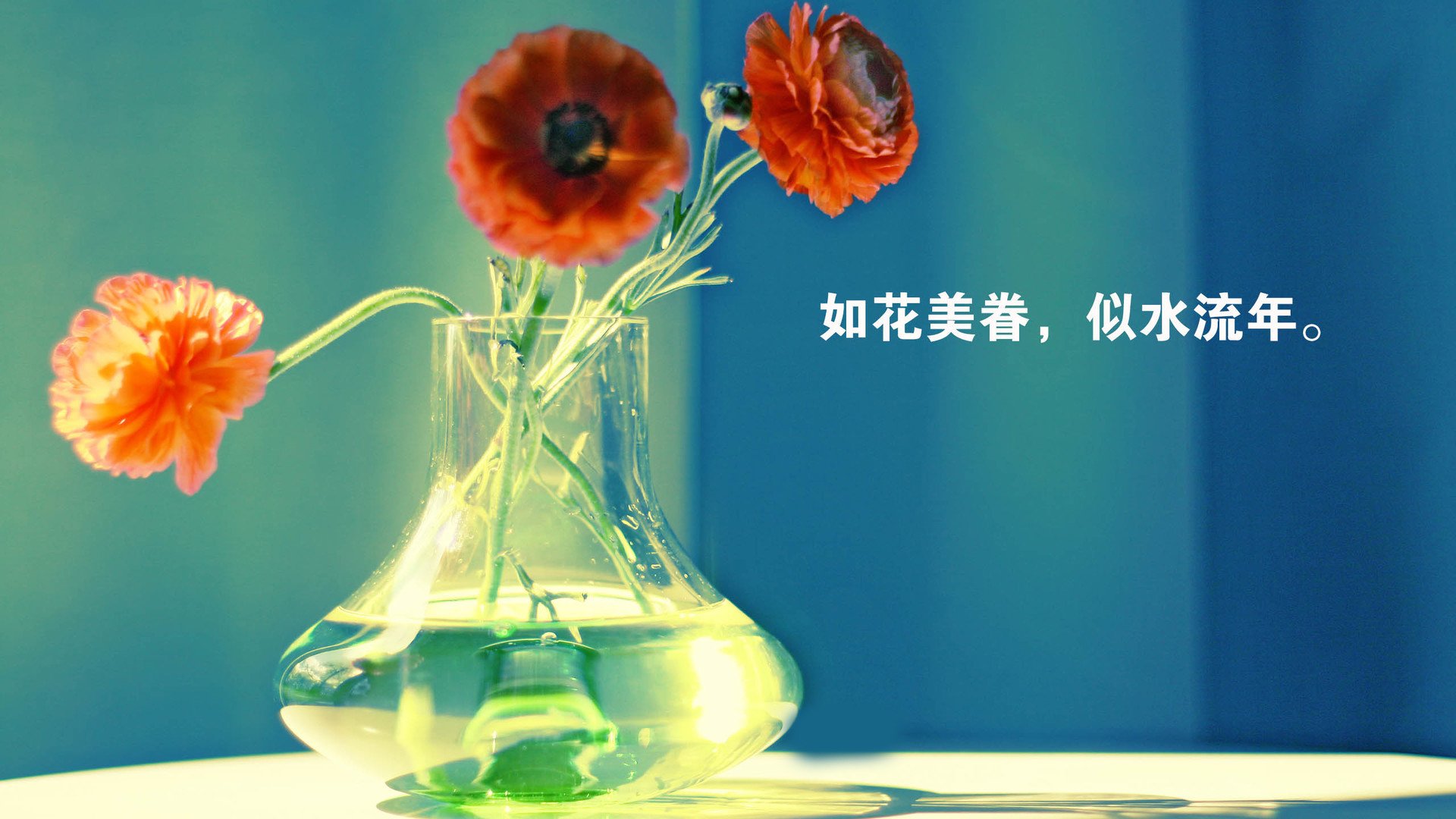 小清新,温暖,干净,安静,唯美,静物,物语,时光,清新淡雅,花朵