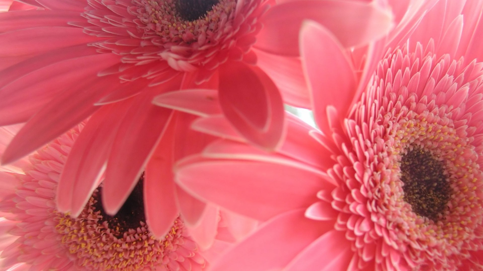 小清新,温暖,干净,安静,唯美,静物,物语,时光