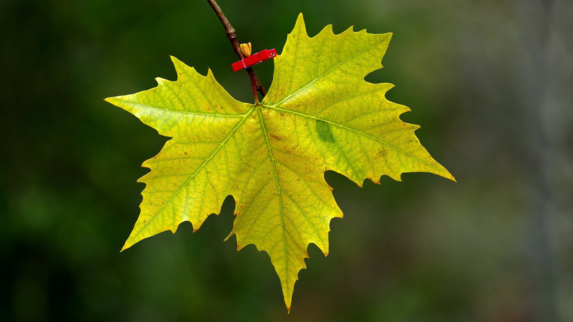 小清新,温暖,干净,安静,唯美,静物,物语,时光,清新淡雅,宁静安详
