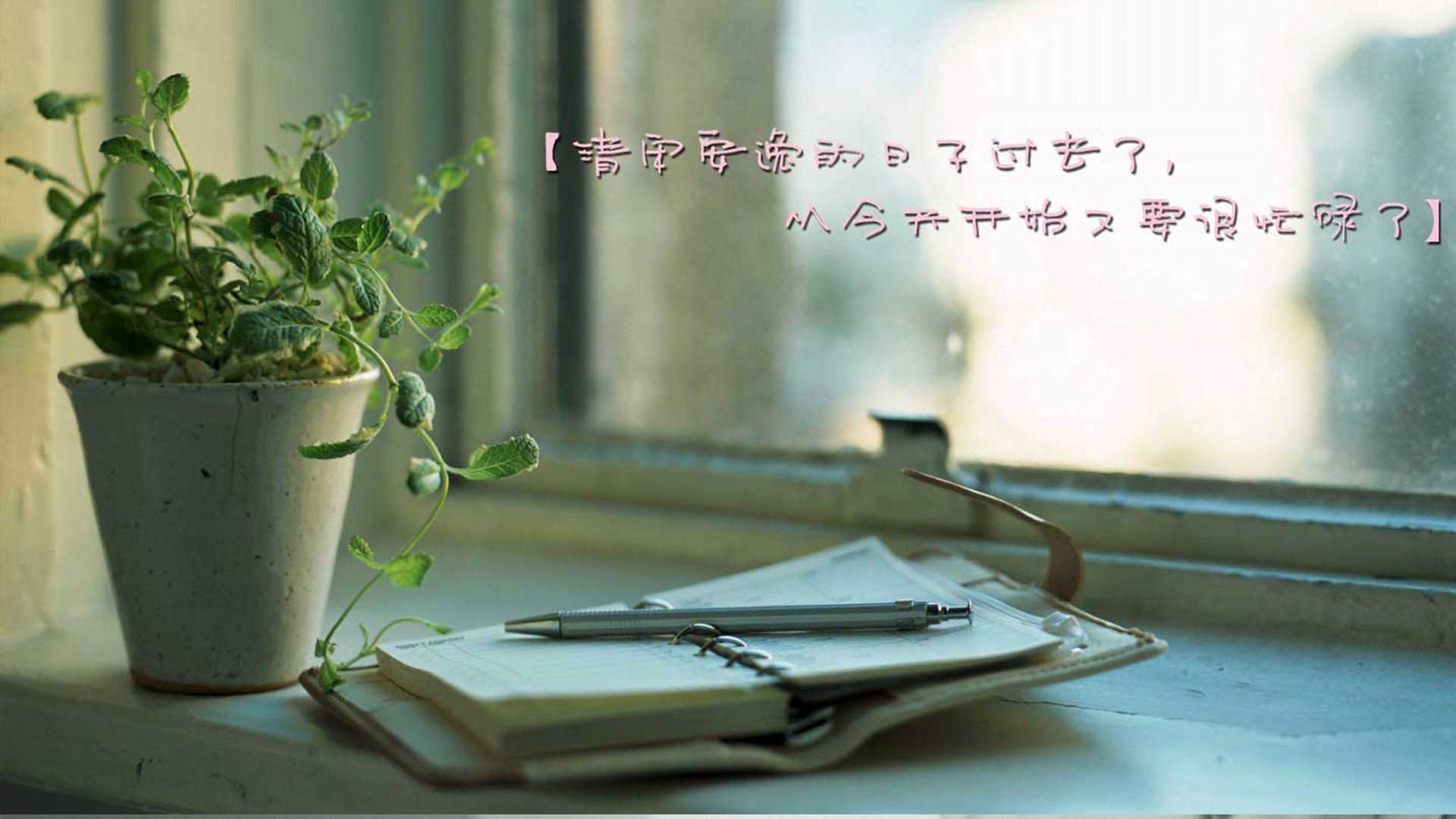 小清新,温暖,干净,安静,唯美,静物,物语,时光,开学,@酷音铃声