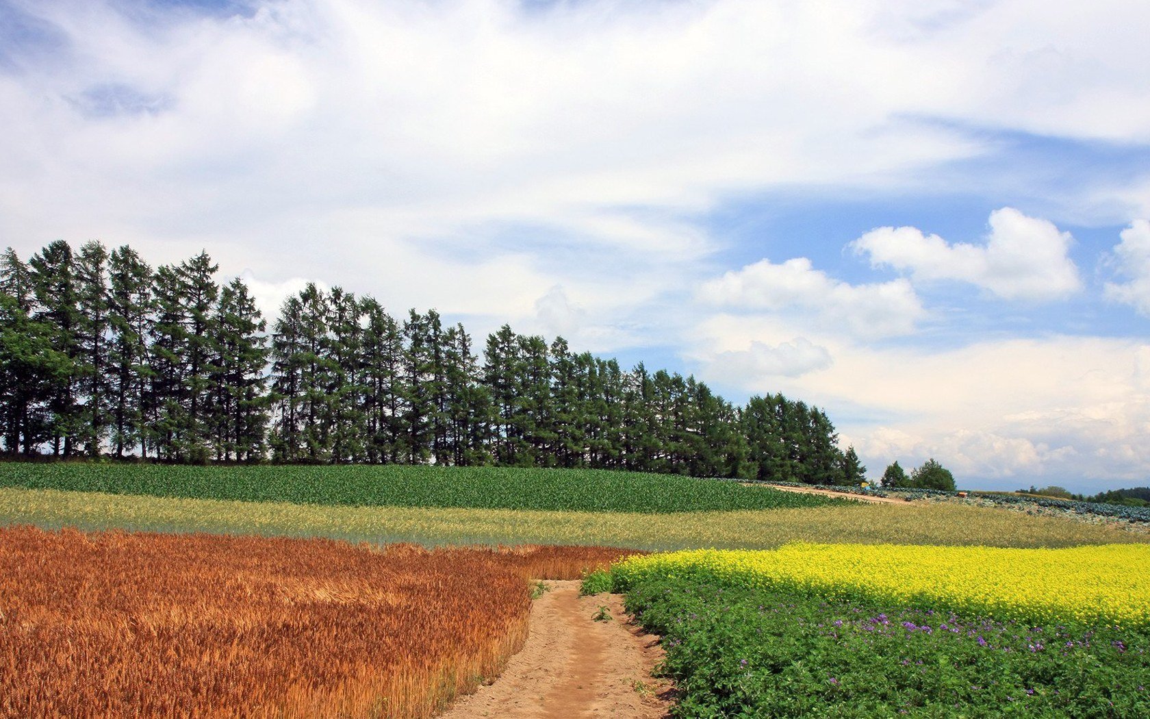 风景,自然风光,大自然,唯美,日本,北海道,日系,旅游胜地