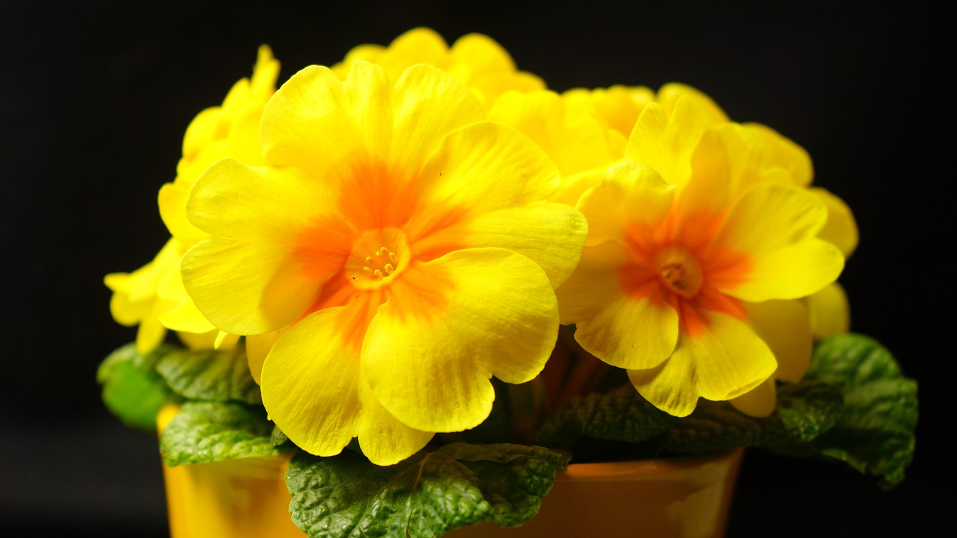 小清新,温暖,干净,安静,唯美,静物,物语,时光