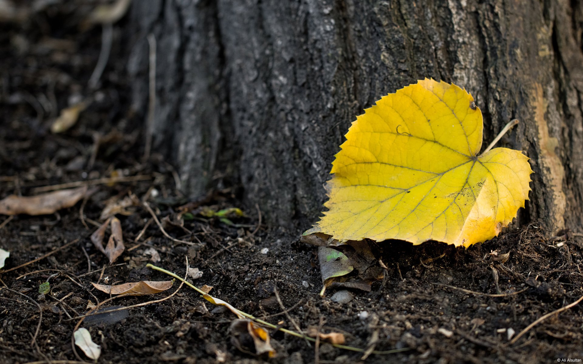 小清新,温暖,干净,安静,唯美,静物,物语,时光,清新淡雅,宁静安详