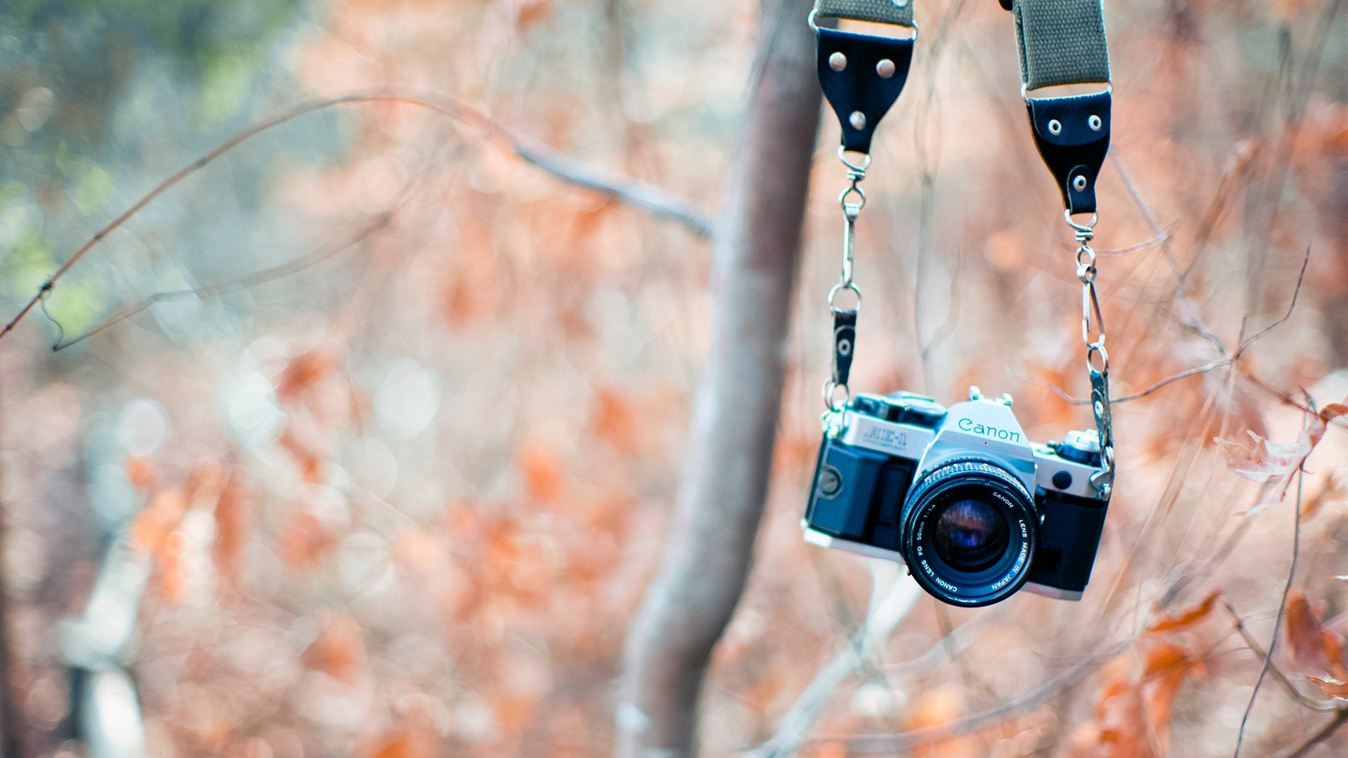 小清新,温暖,干净,安静,唯美,静物,物语,时光