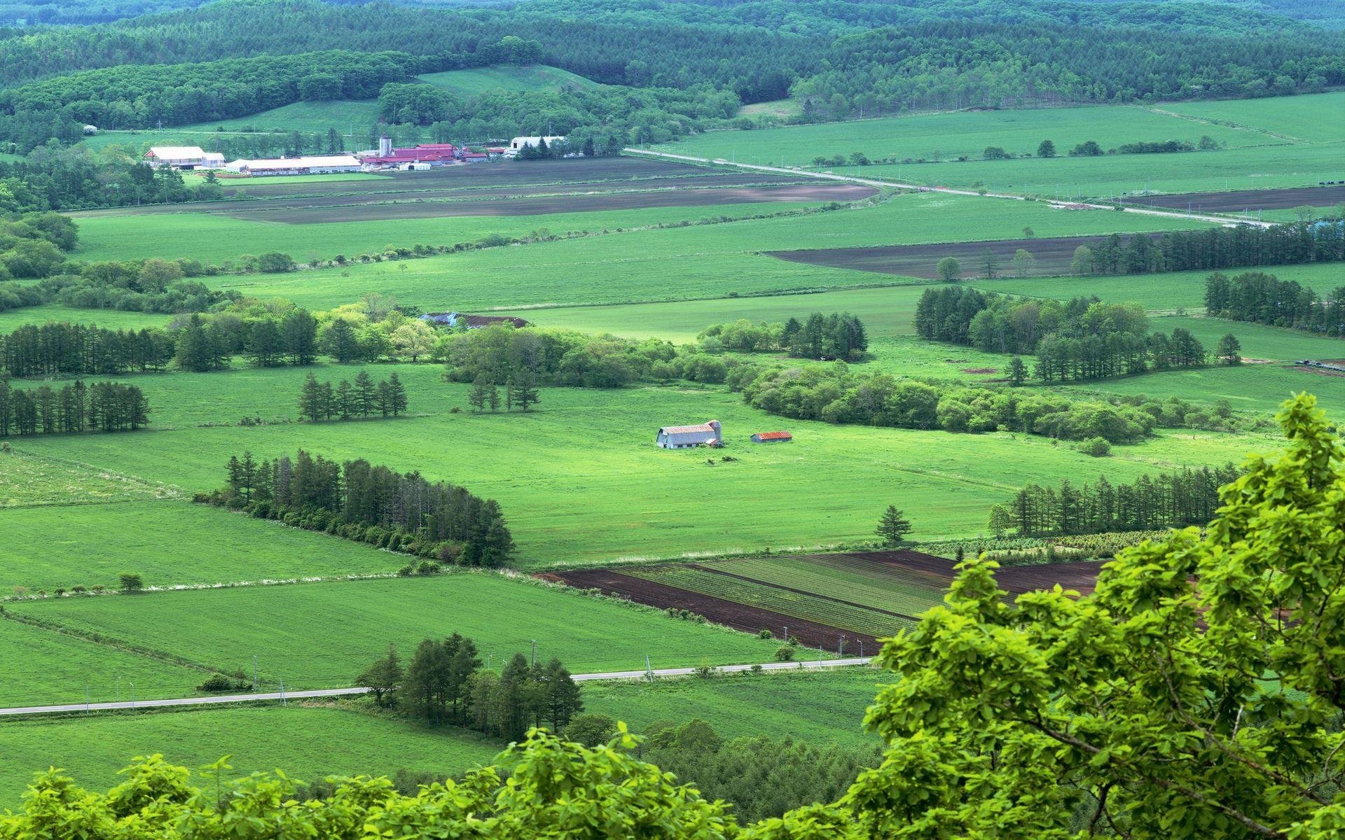 风景,自然风光,大自然,唯美,日本,北海道,日系,旅游胜地