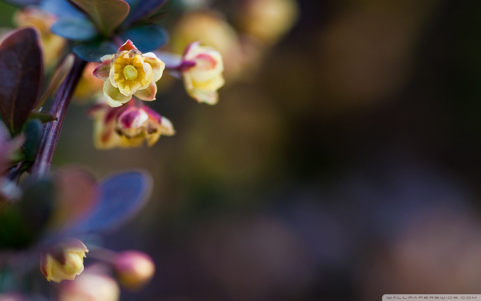 小清新,温暖,干净,安静,唯美,静物,物语,时光