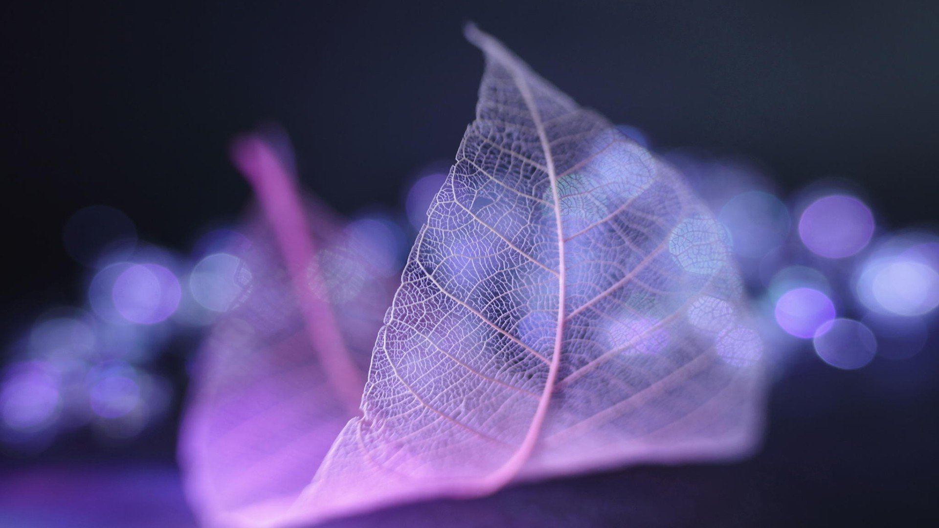 小清新,温暖,干净,安静,唯美,静物,物语,时光,清新淡雅,宁静安详