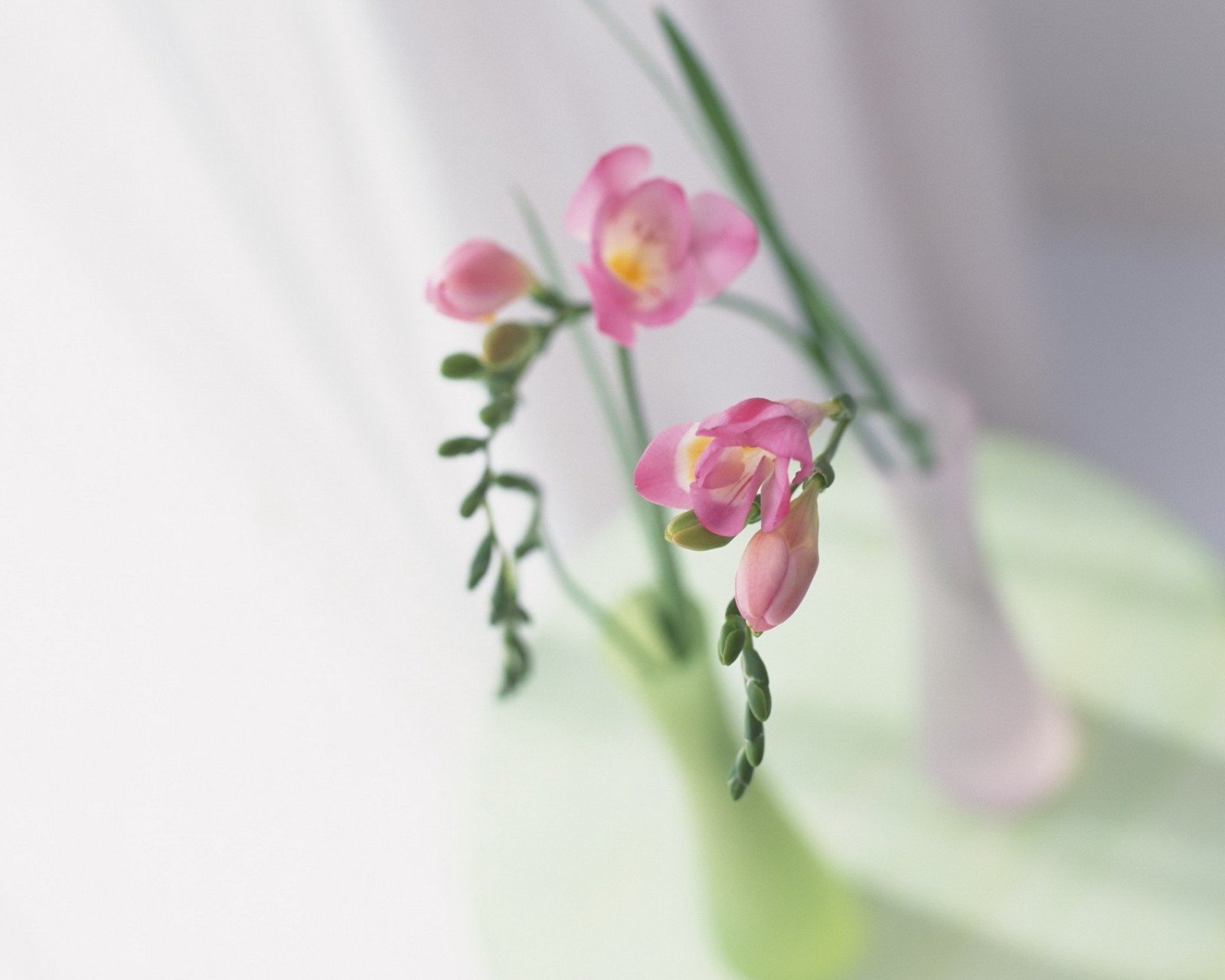 小清新,温暖,干净,安静,唯美,静物,物语,时光