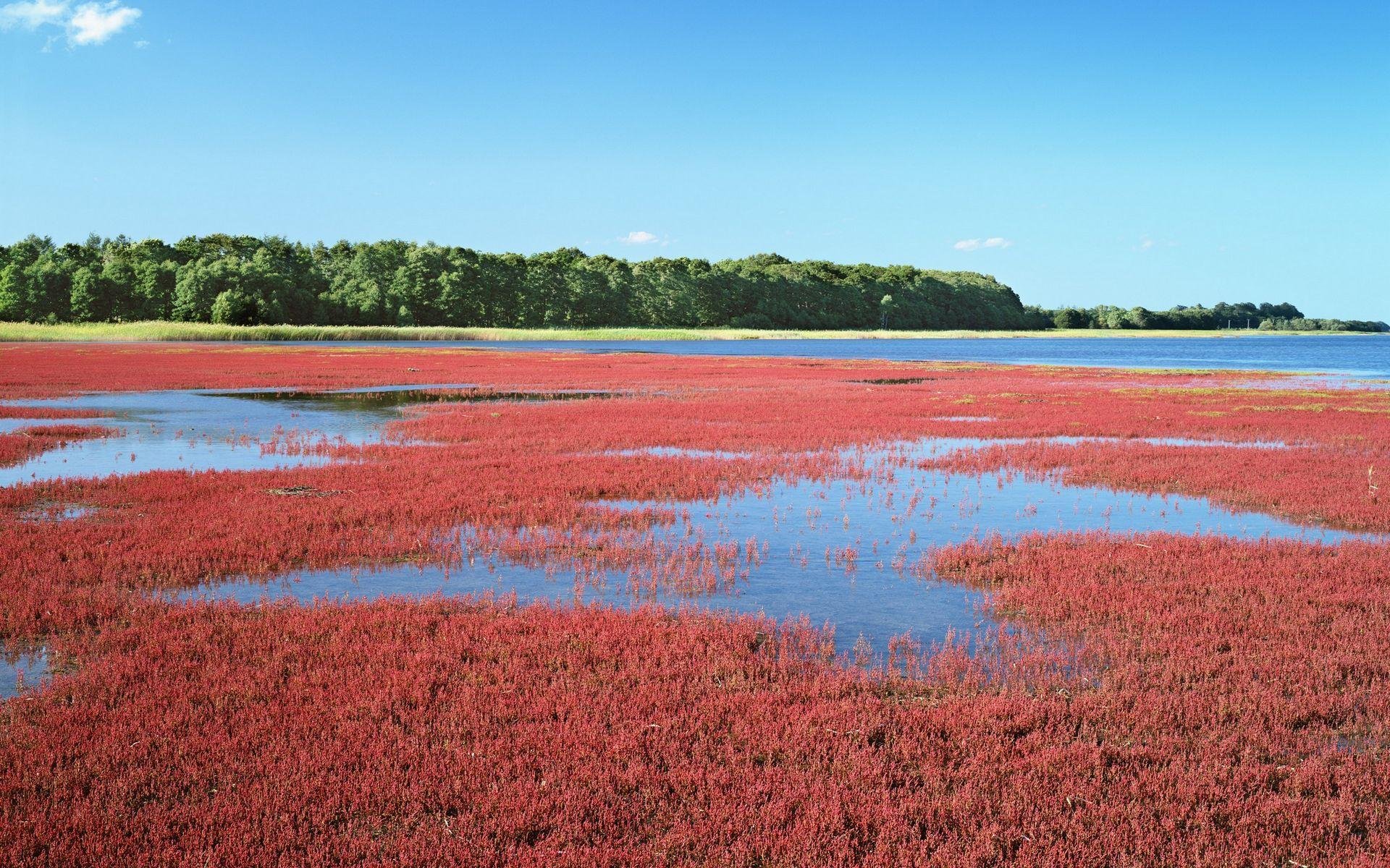风景,自然风光,大自然,唯美,日本,北海道,日系,旅游胜地