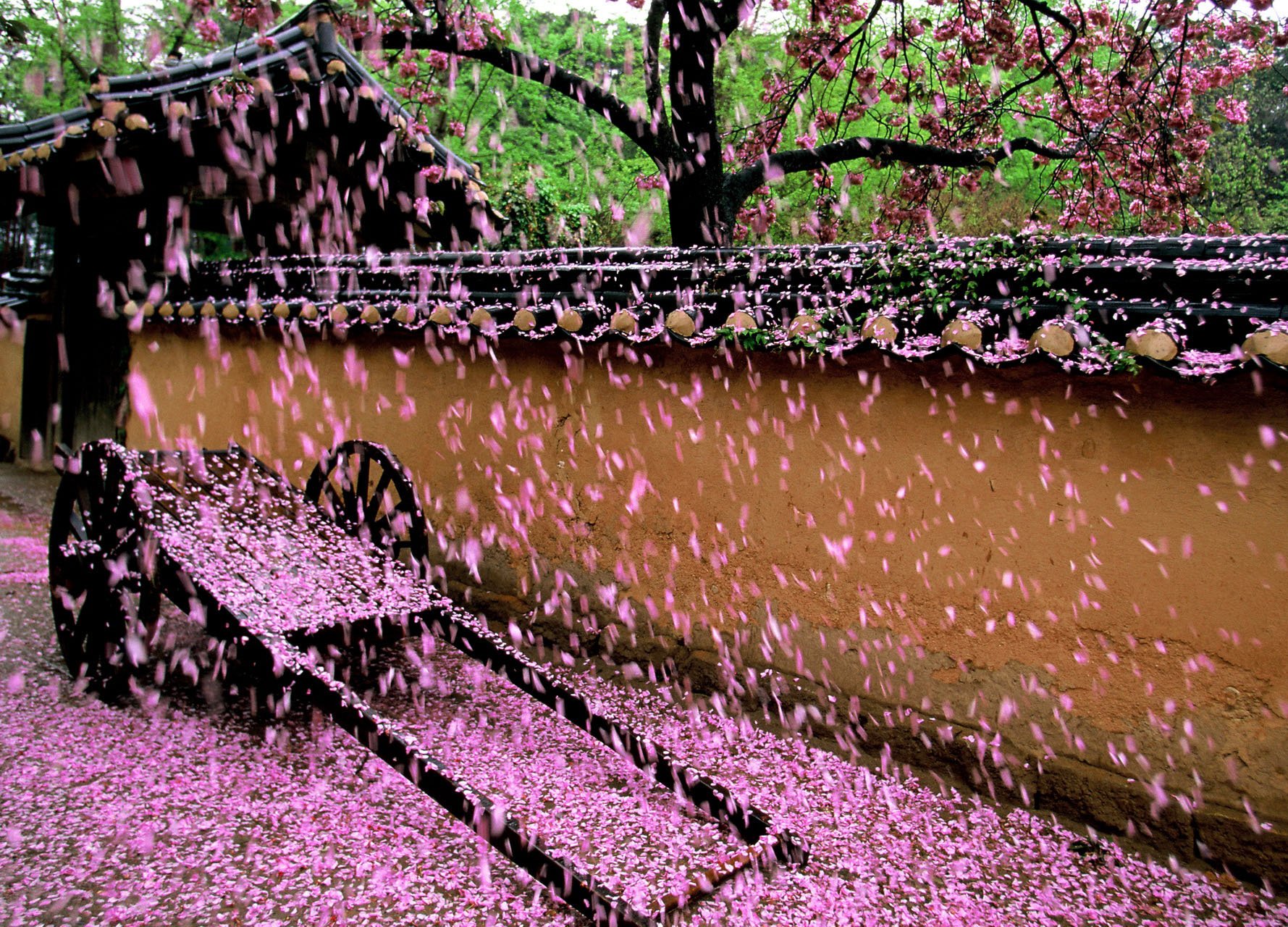 风景,自然风光,大自然,清新,旅行,时光,唯美