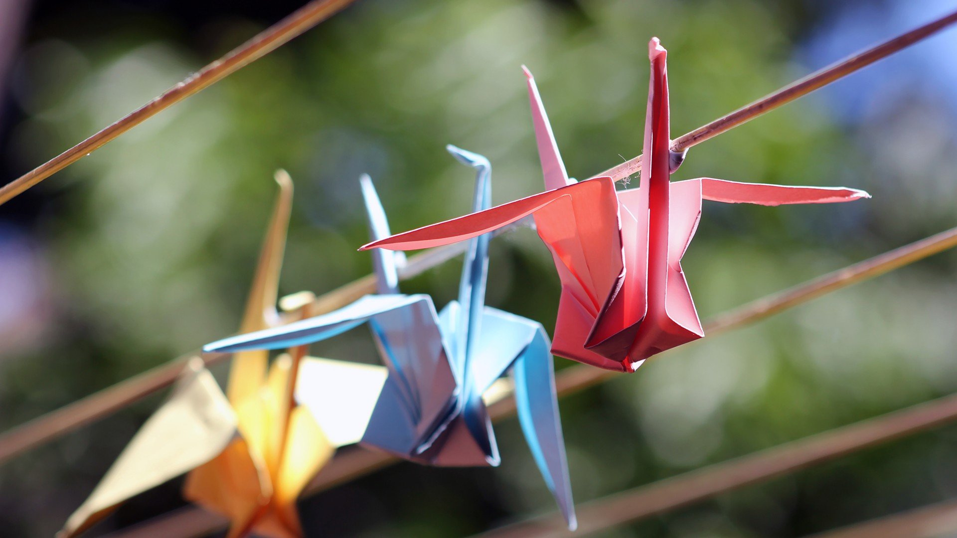 小清新,温暖,干净,安静,唯美,静物,物语,时光