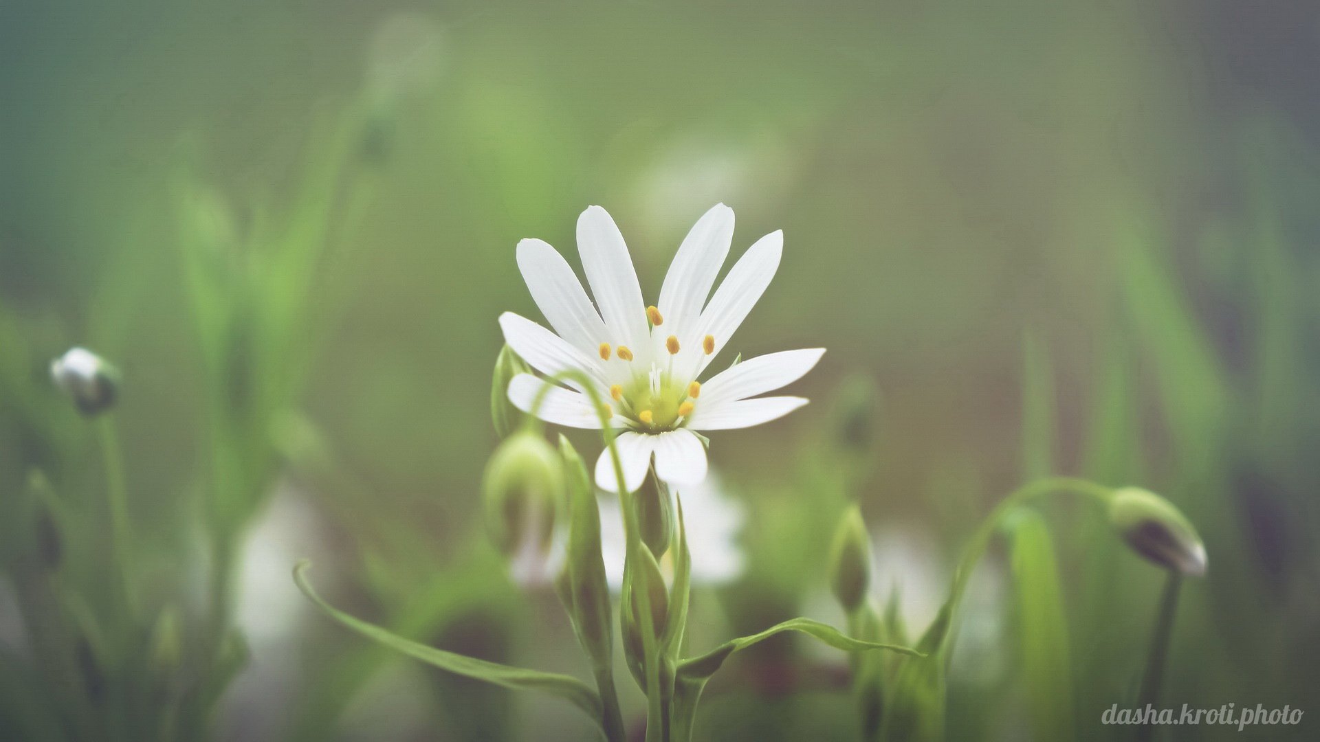 小清新,温暖,干净,安静,唯美,静物,物语,时光