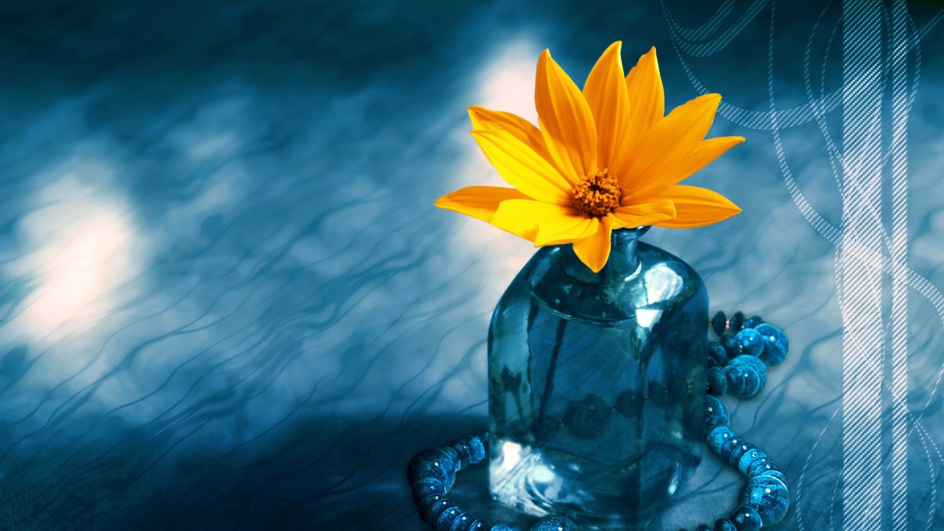 小清新,温暖,干净,安静,唯美,静物,物语,时光,清新淡雅,花朵