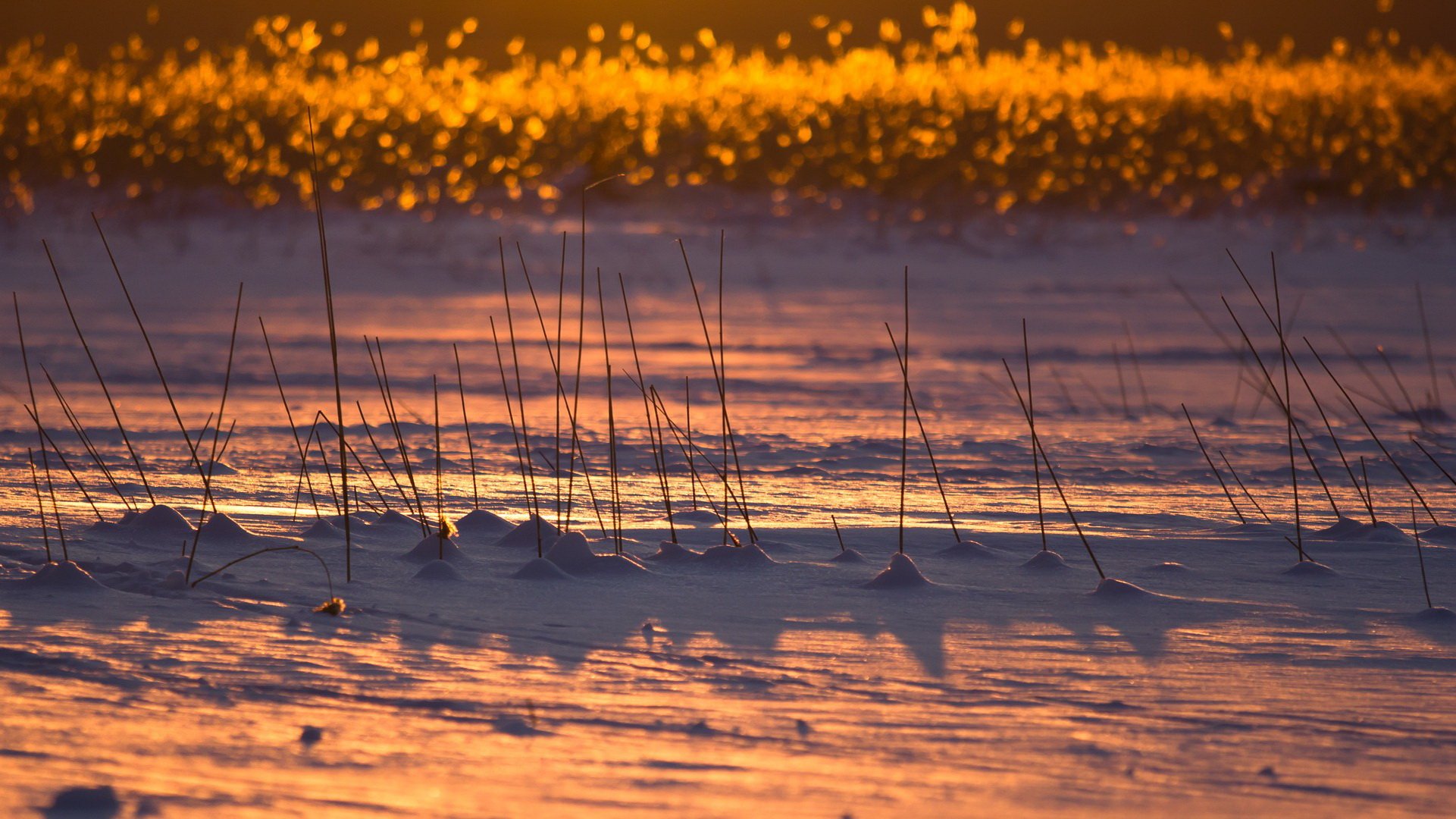 风景,自然风光,大自然