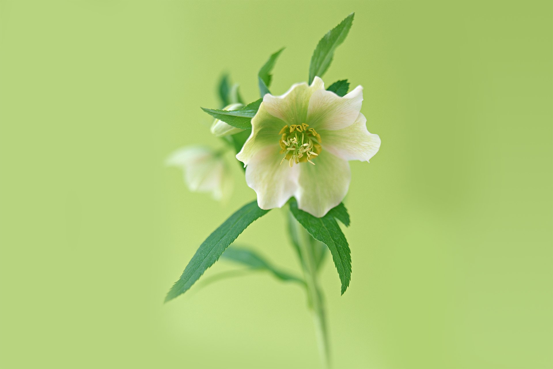 小清新,温暖,干净,安静,唯美,静物,物语,时光