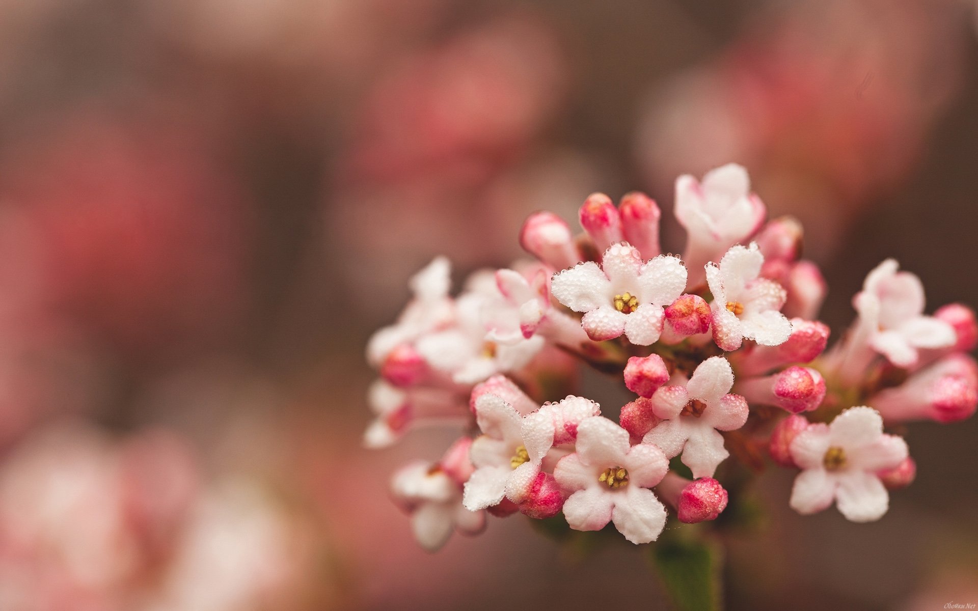 小清新,温暖,干净,安静,唯美,静物,物语,时光