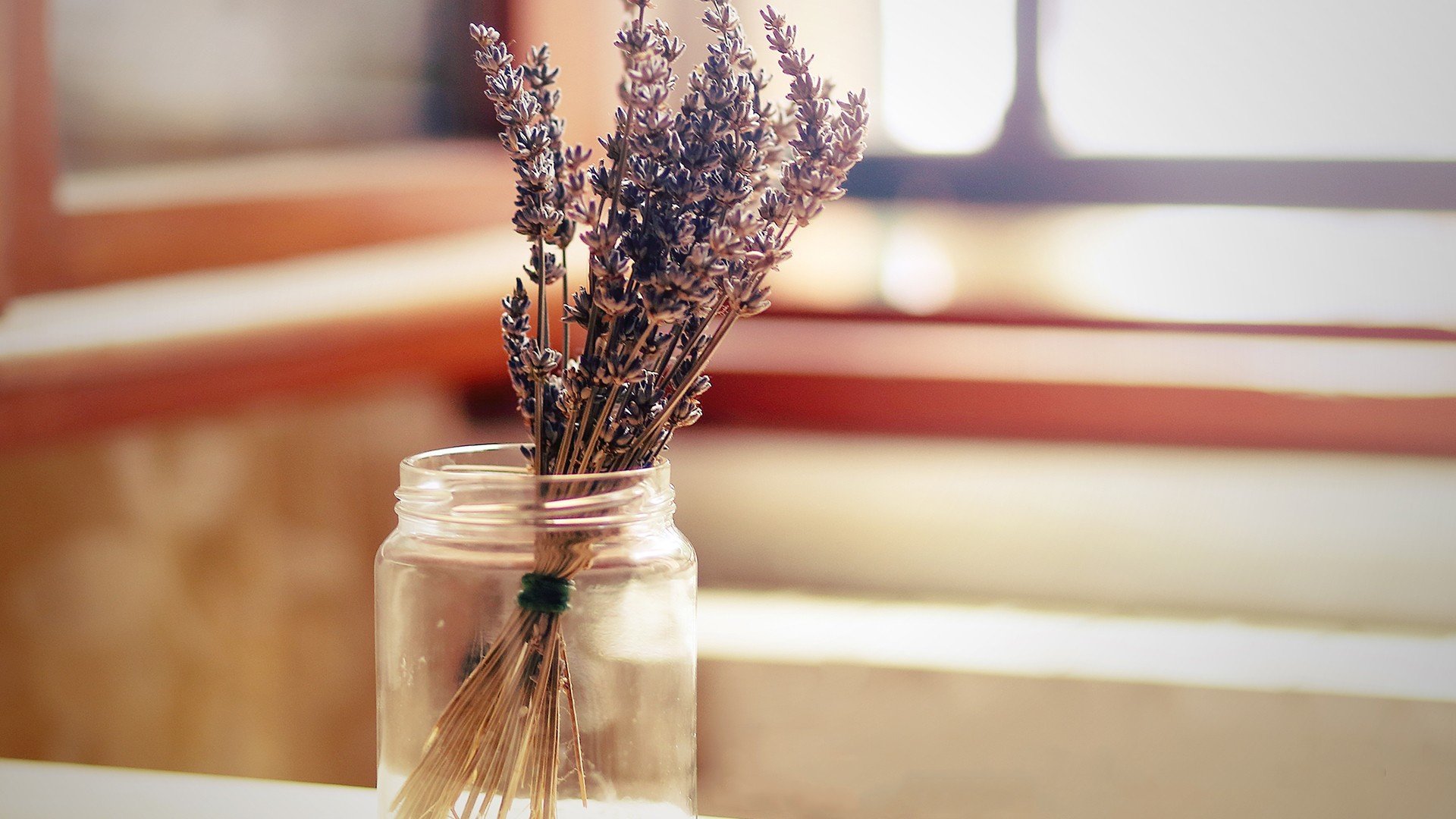 小清新,温暖,干净,安静,唯美,静物,物语,时光,清新淡雅,花朵