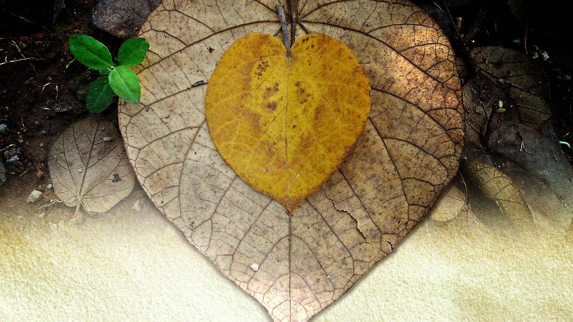 小清新,温暖,干净,安静,唯美,静物,物语,时光,清新淡雅,宁静安详