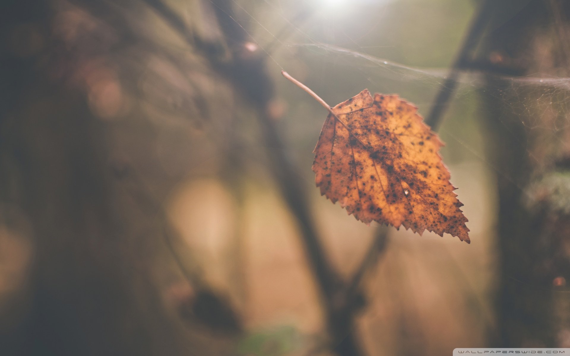 小清新,温暖,干净,安静,唯美,静物,物语,时光,清新淡雅,宁静安详