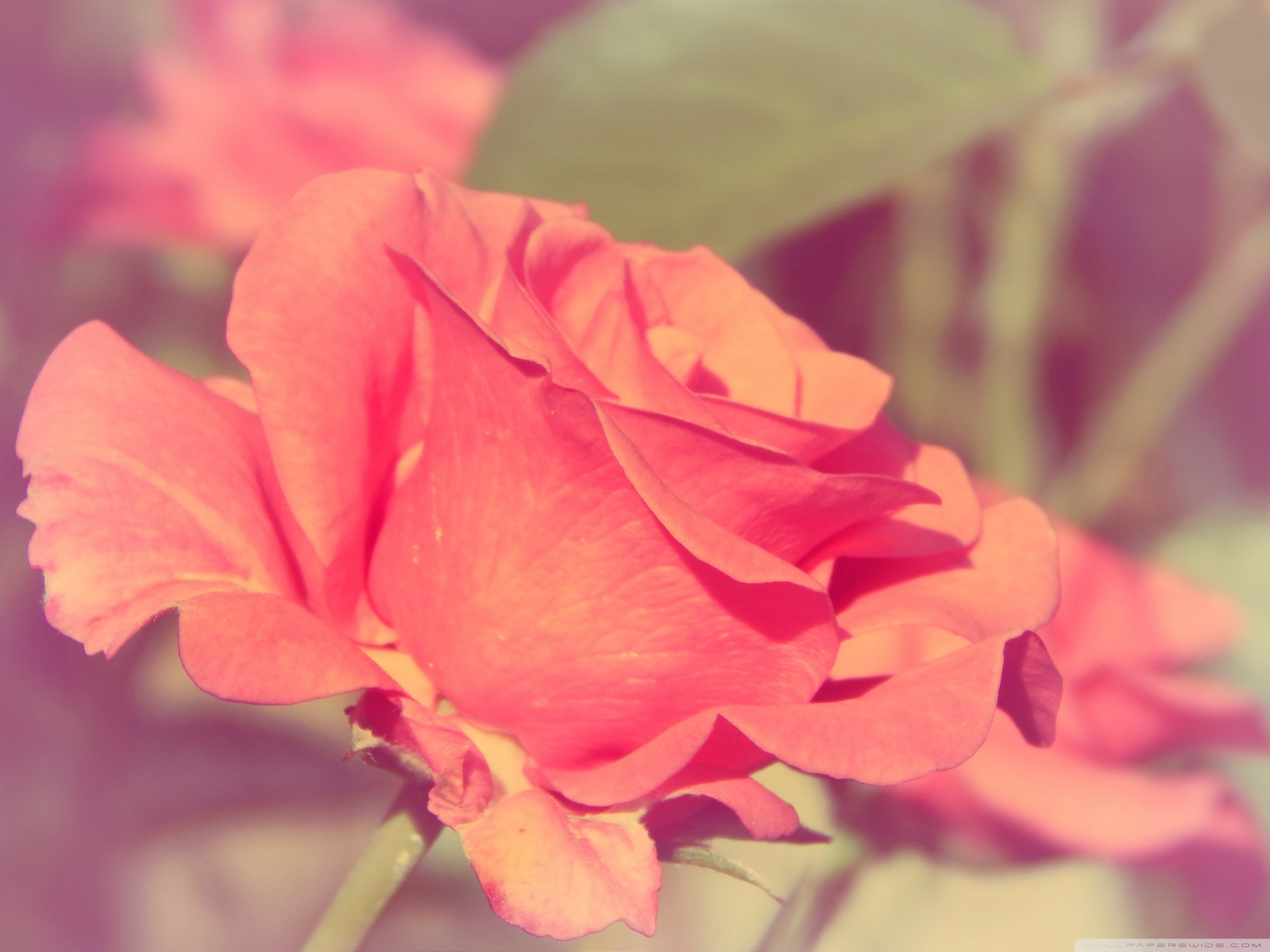 小清新,温暖,干净,安静,唯美,静物,物语,时光