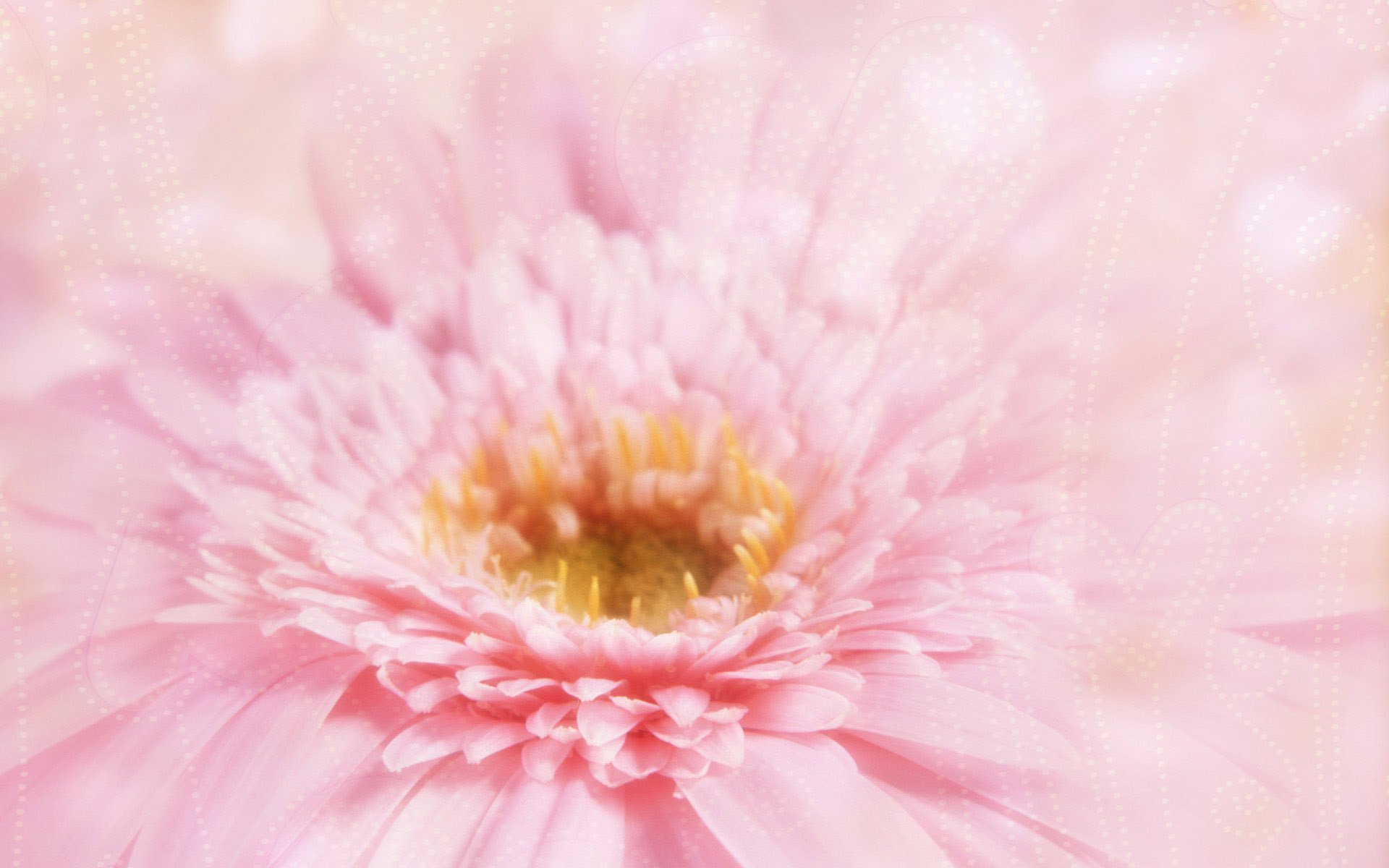 小清新,温暖,干净,安静,唯美,静物,物语,时光