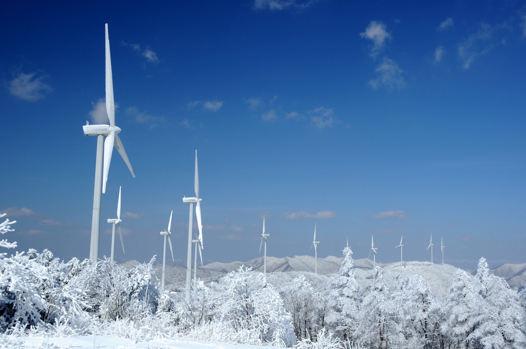 风景,自然风光,大自然