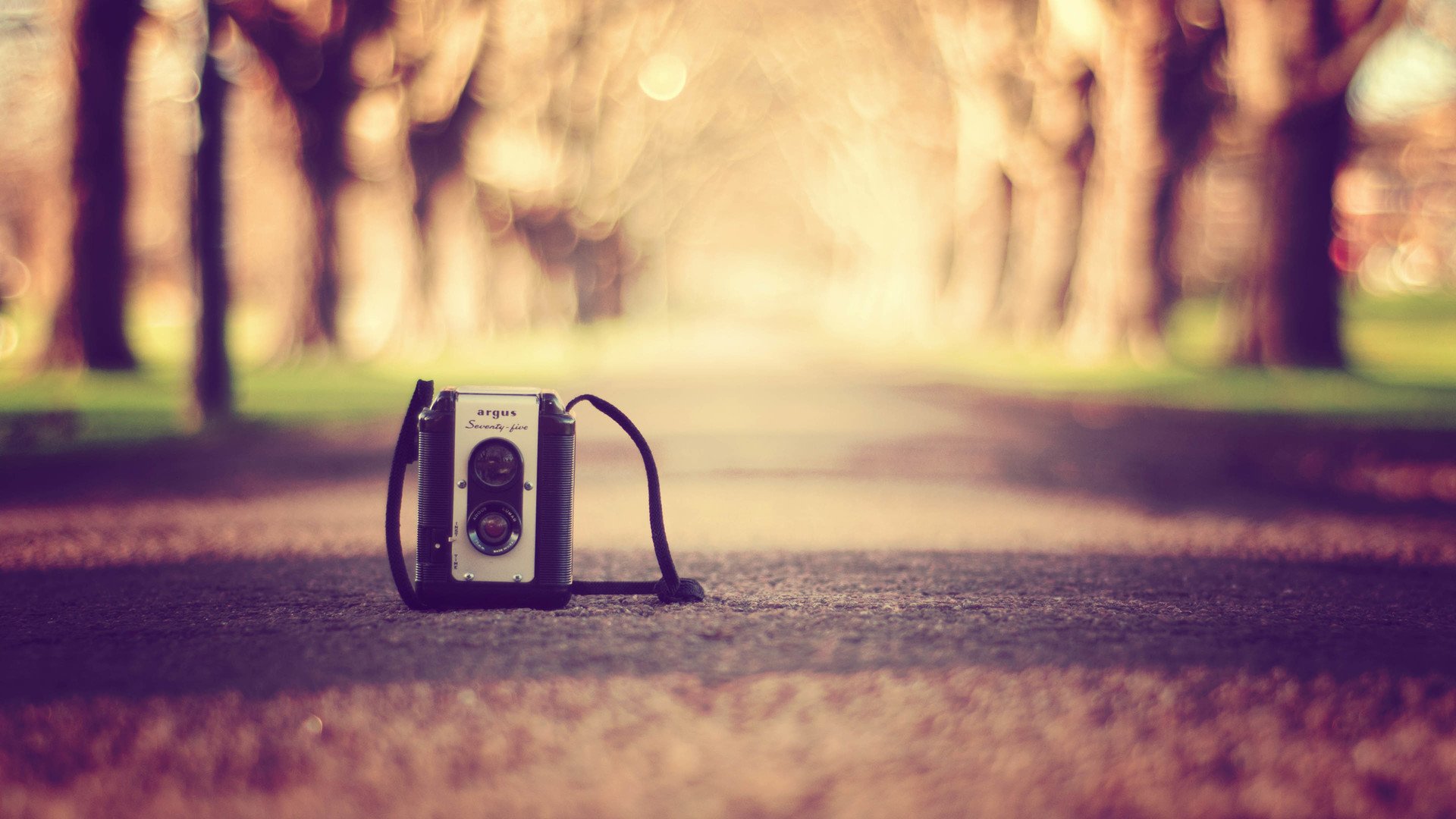 小清新,温暖,干净,安静,唯美,静物,物语,时光,复古,怀旧