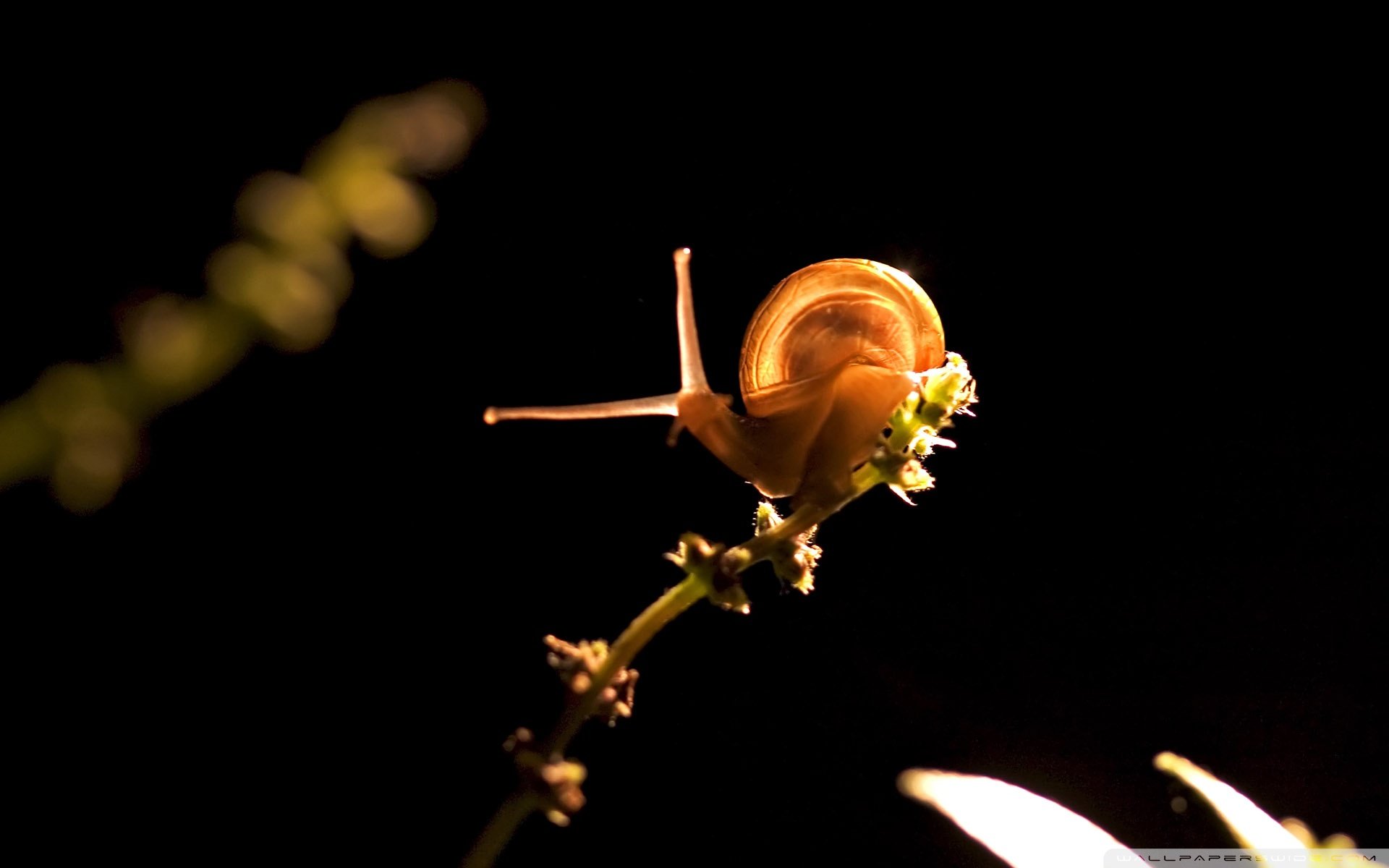 小清新,温暖,干净,安静,唯美,静物,物语,时光,清新淡雅,宁静安详