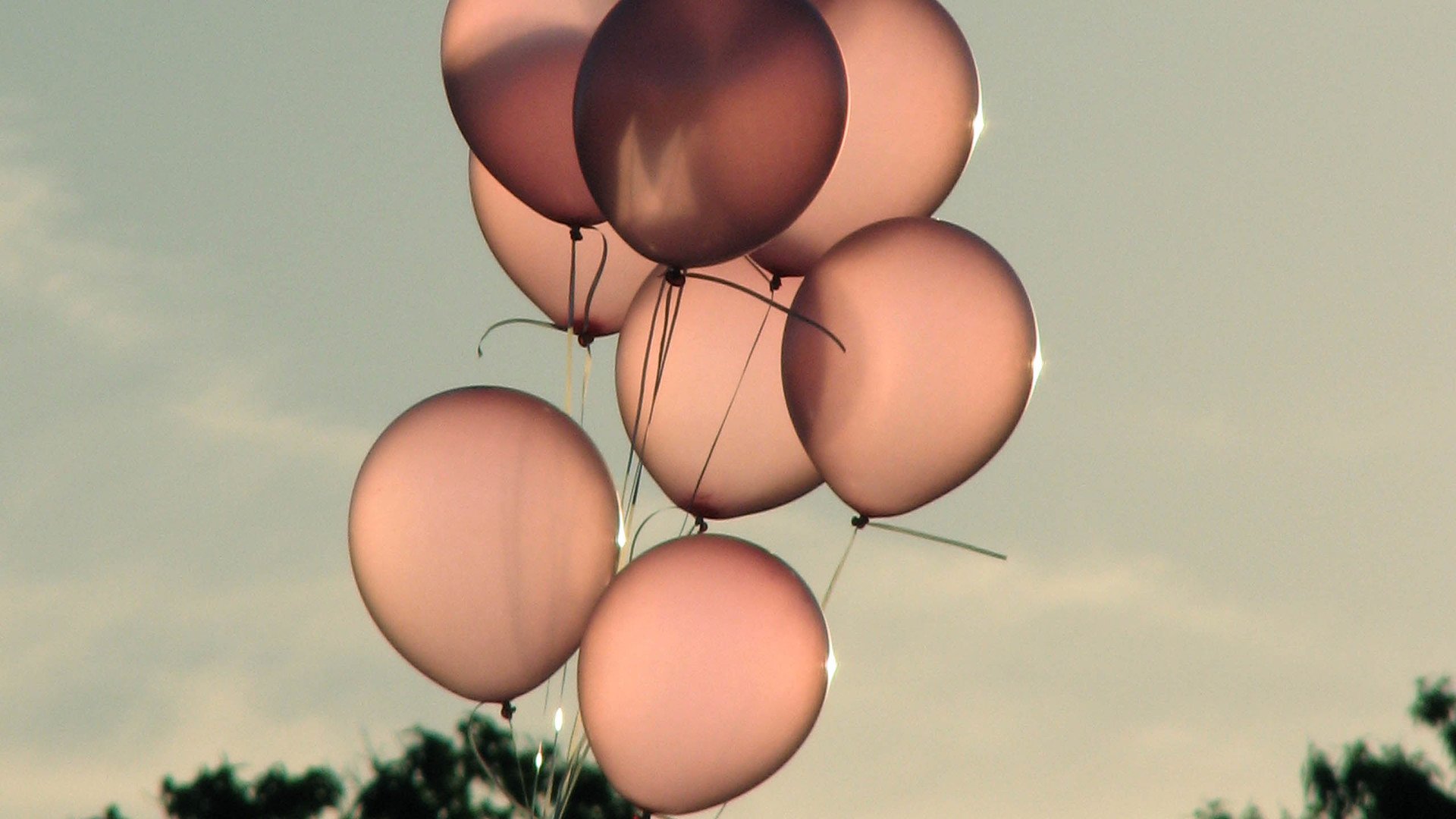 小清新,温暖,干净,安静,唯美,静物,物语,时光