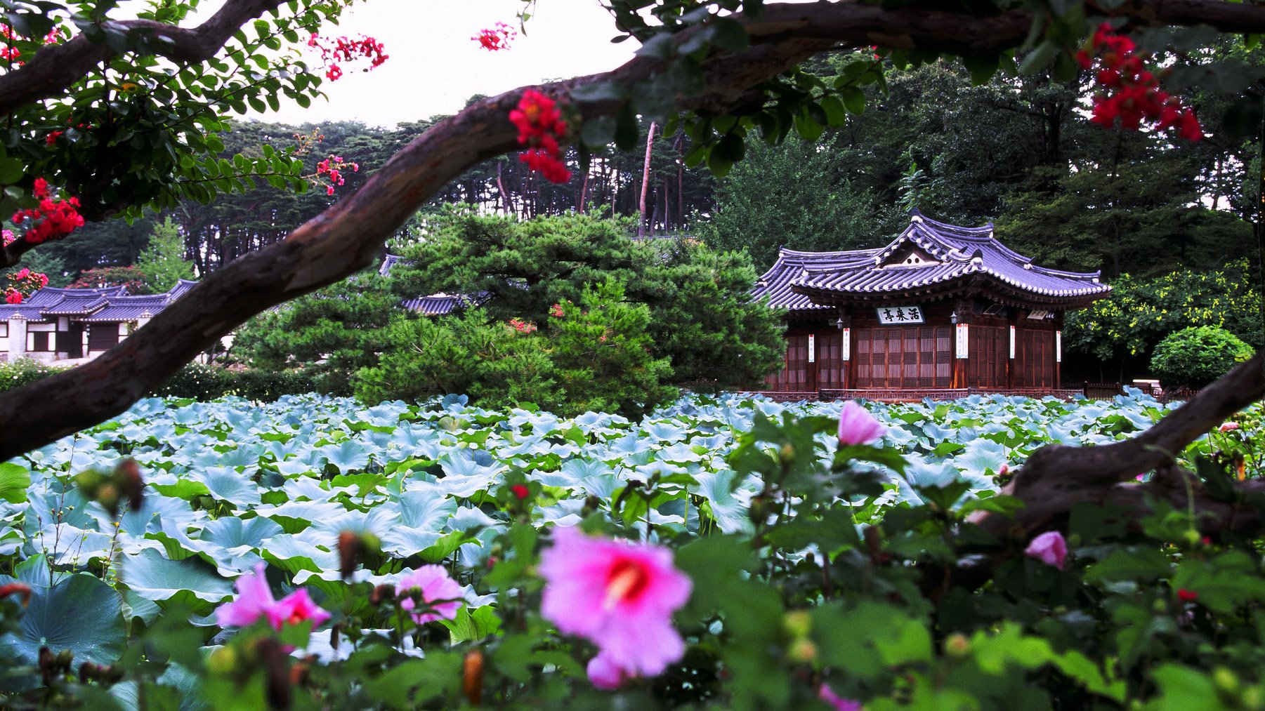 风景,自然风光,大自然