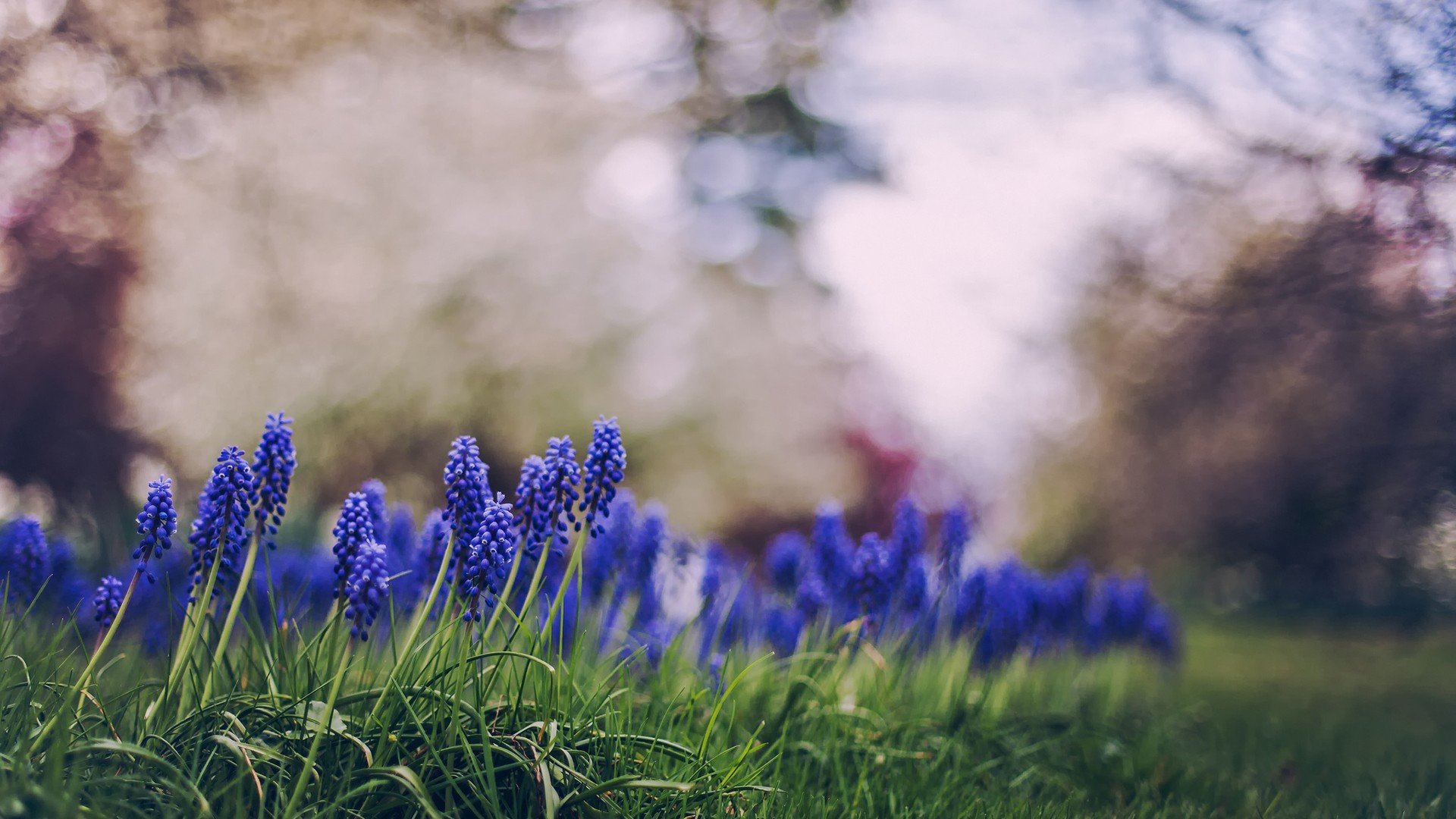 小清新,温暖,干净,安静,唯美,静物,物语,时光