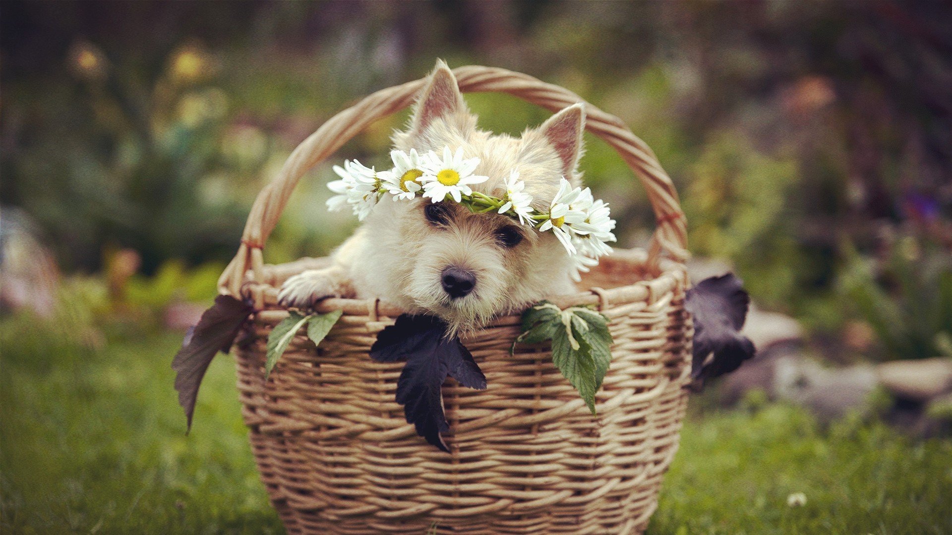 小清新,温暖,干净,安静,唯美,静物,物语,时光