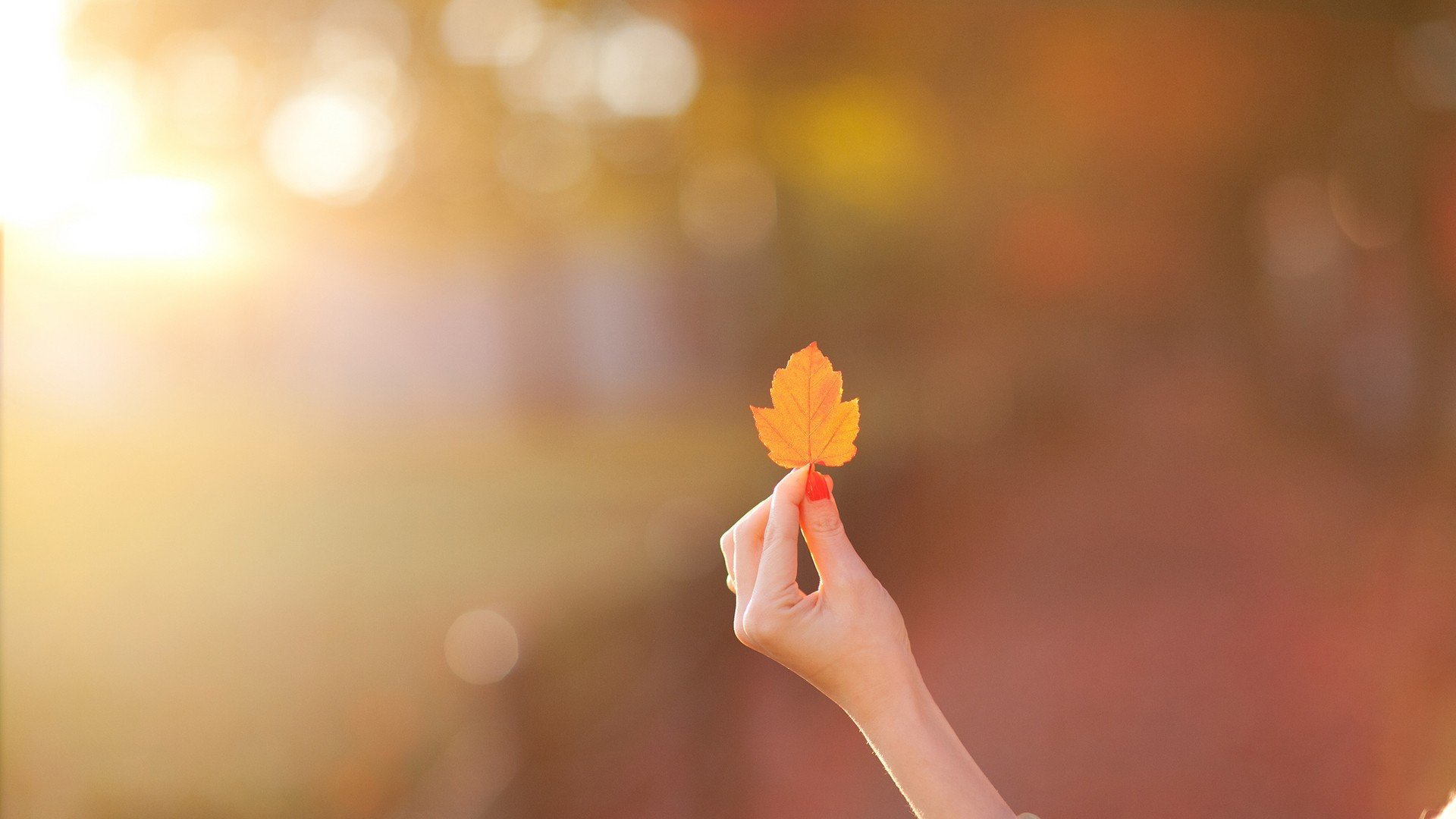 小清新,温暖,干净,安静,唯美,静物,物语,时光