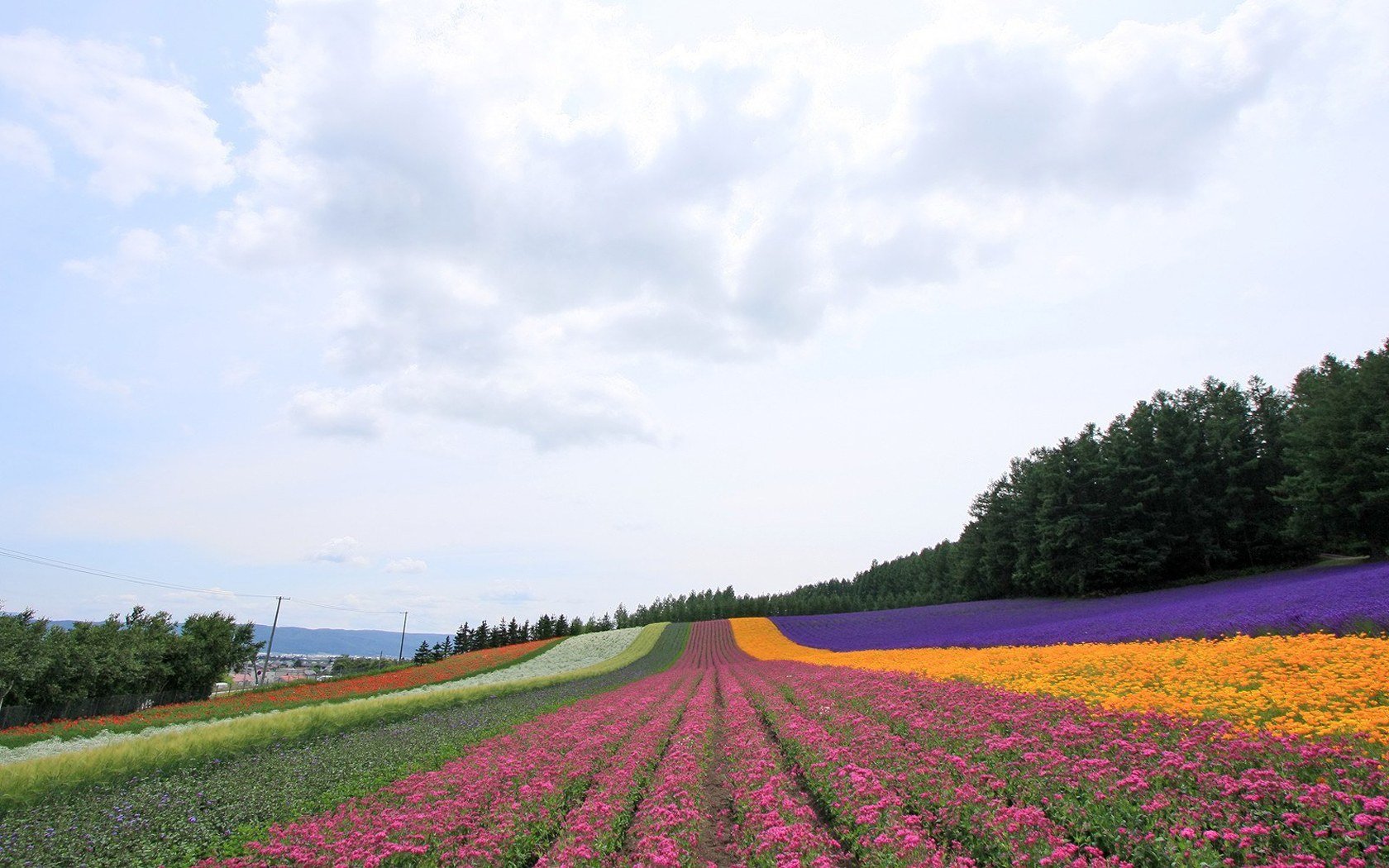 风景,自然风光,大自然,唯美,日本,北海道,日系,旅游胜地