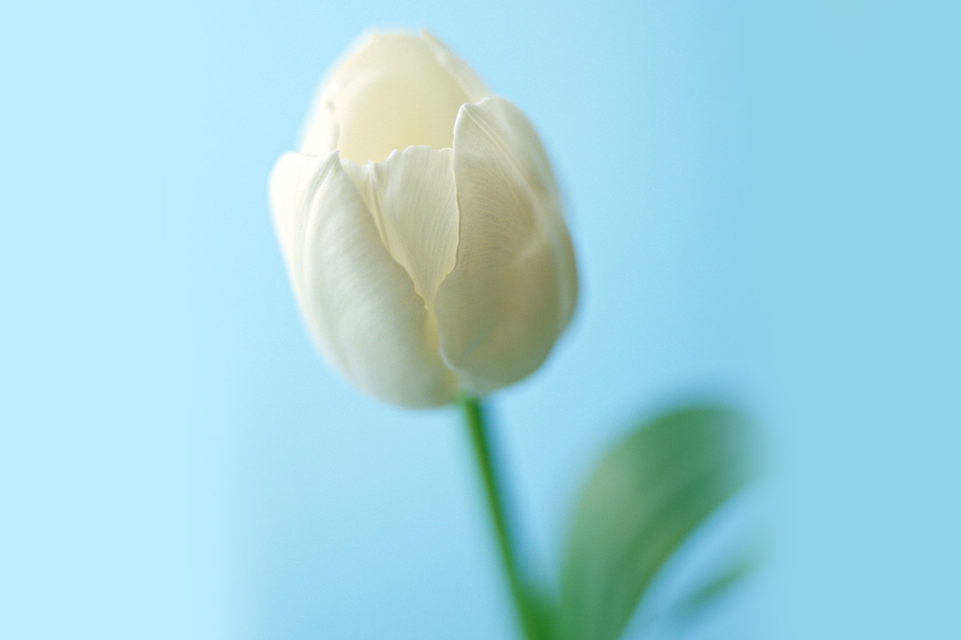 小清新,温暖,干净,安静,唯美,静物,物语,时光